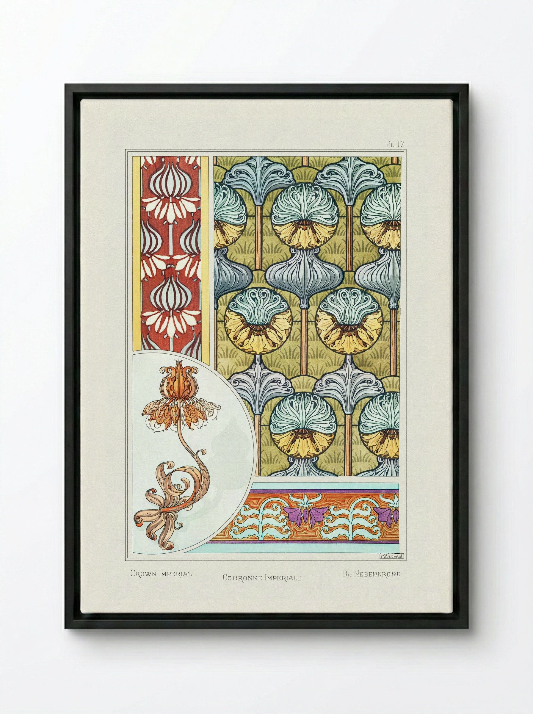 Couronne Impériale (Crown Imperial) from La Plante et ses Applications ornementales - Maurice Pillard Verneuil - Framed Canvas Black
