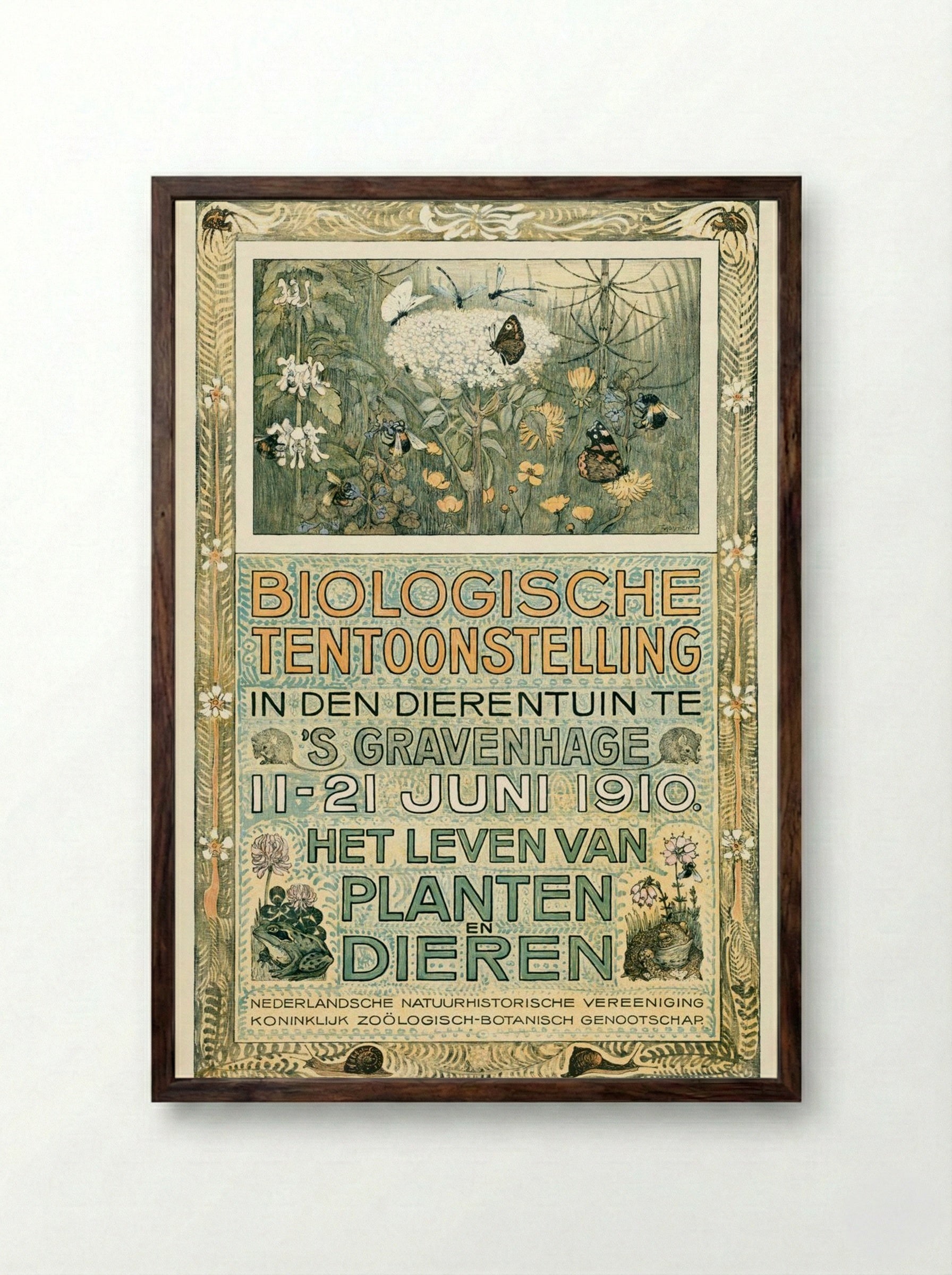 Poster of the Biologische Tentoonstelling (Biological Exhibition) - Theo van Hoytema - Framed Print Dark Wood