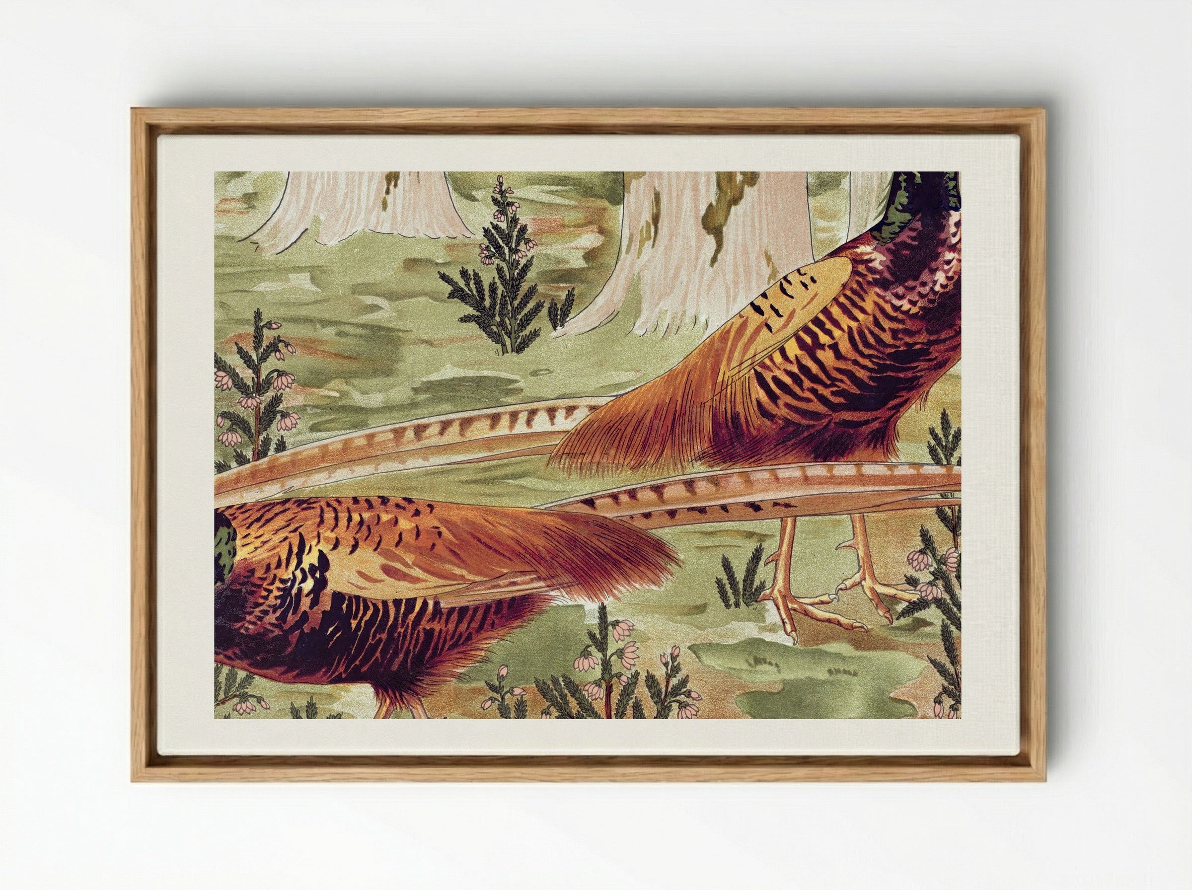 Faisans Ordinaires (Common Pheasants) - Maurice Pillard Verneuil - Framed Canvas Wood