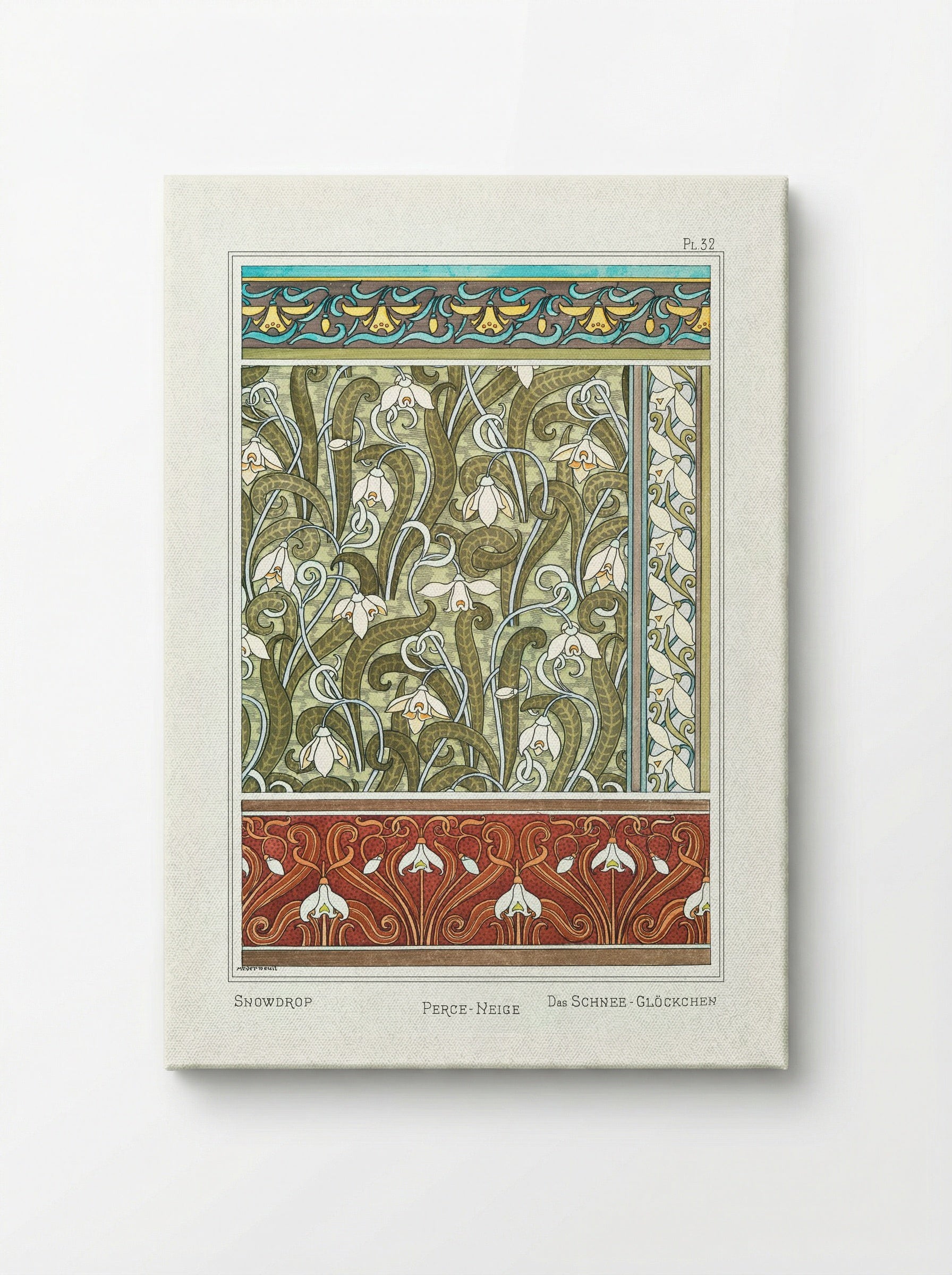 Perce-neige (Snowdrops) from La Plante et ses Applications ornementales - Maurice Pillard Verneuil - Canvas
