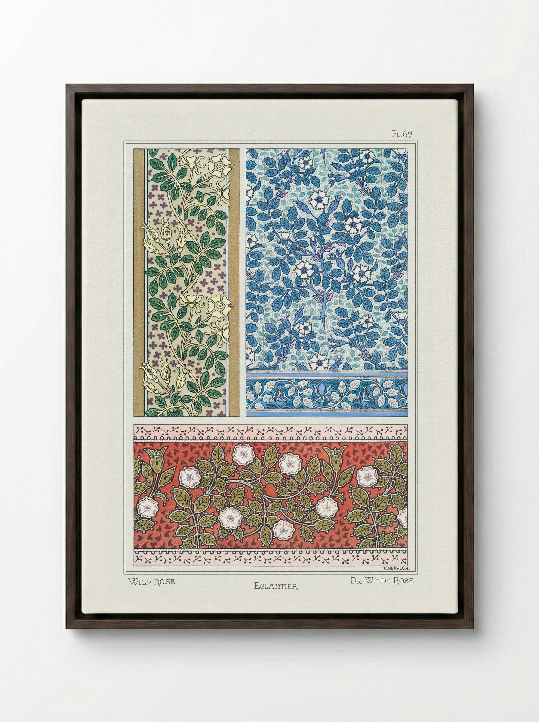 Eglantier (Wild Rose) from La Plante et ses Applications ornementales - Maurice Pillard Verneuil - Framed Canvas Dark Wood