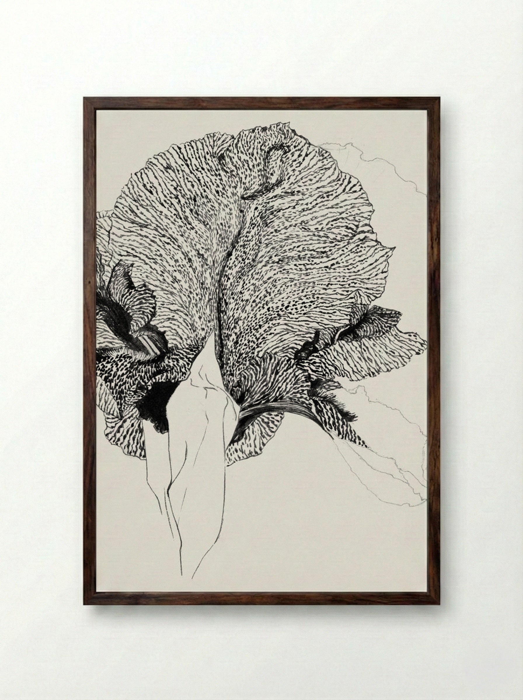 Iris - Julie de Graag - Framed Print Dark Wood