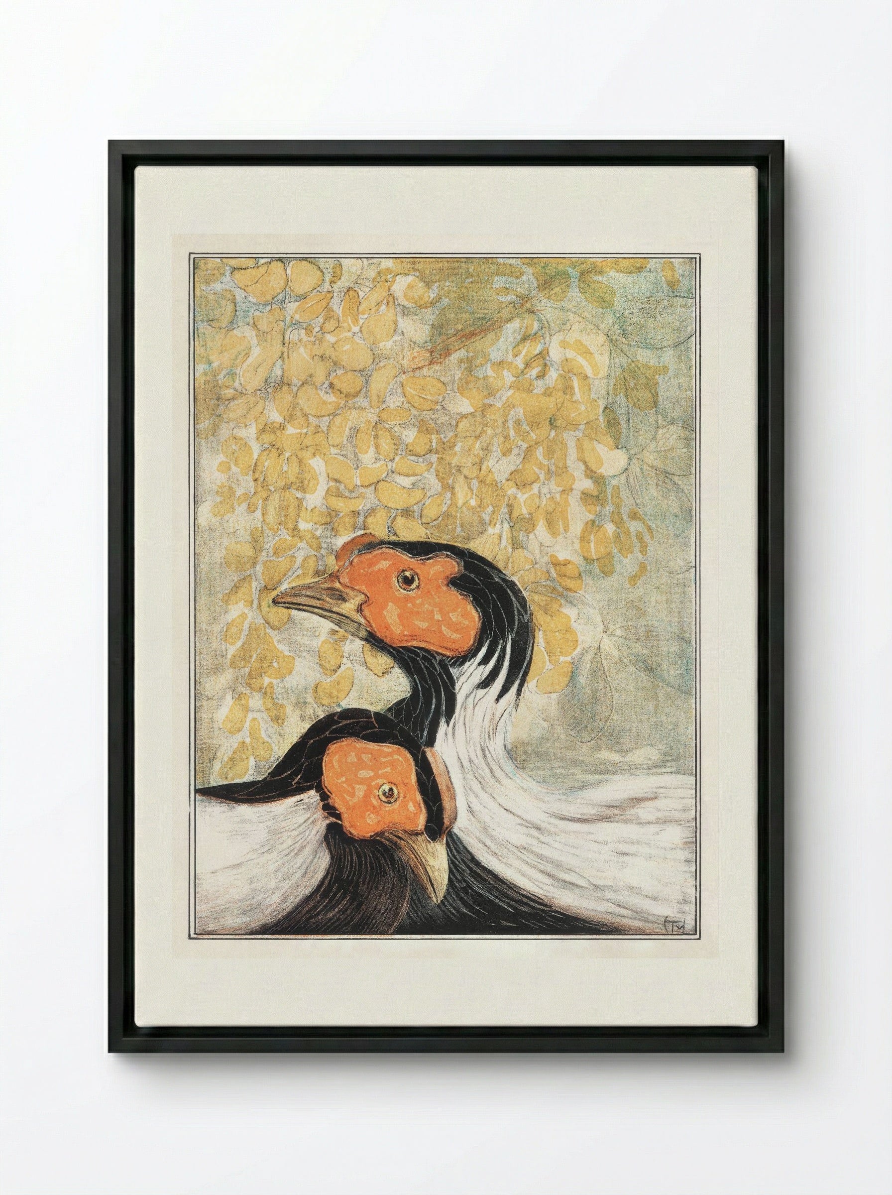Two Silver Pheasants - Theo van Hoytema - Framed Canvas Black