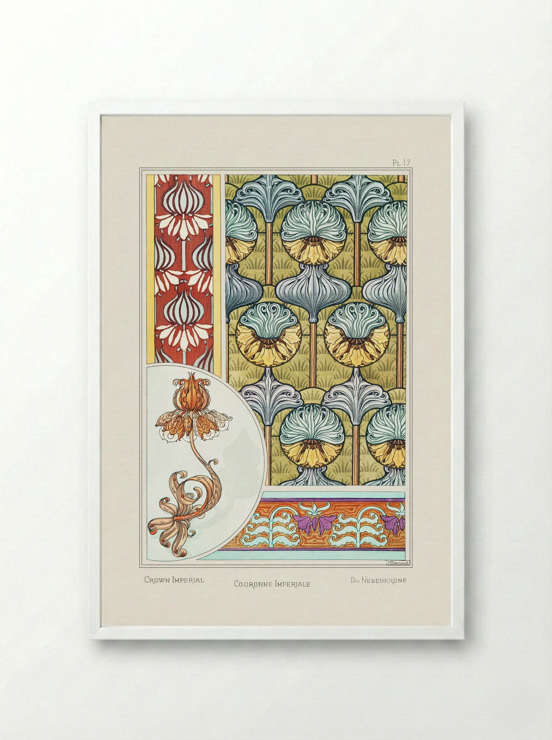 Couronne Impériale (Crown Imperial) from La Plante et ses Applications ornementales - Maurice Pillard Verneuil - Framed Print White