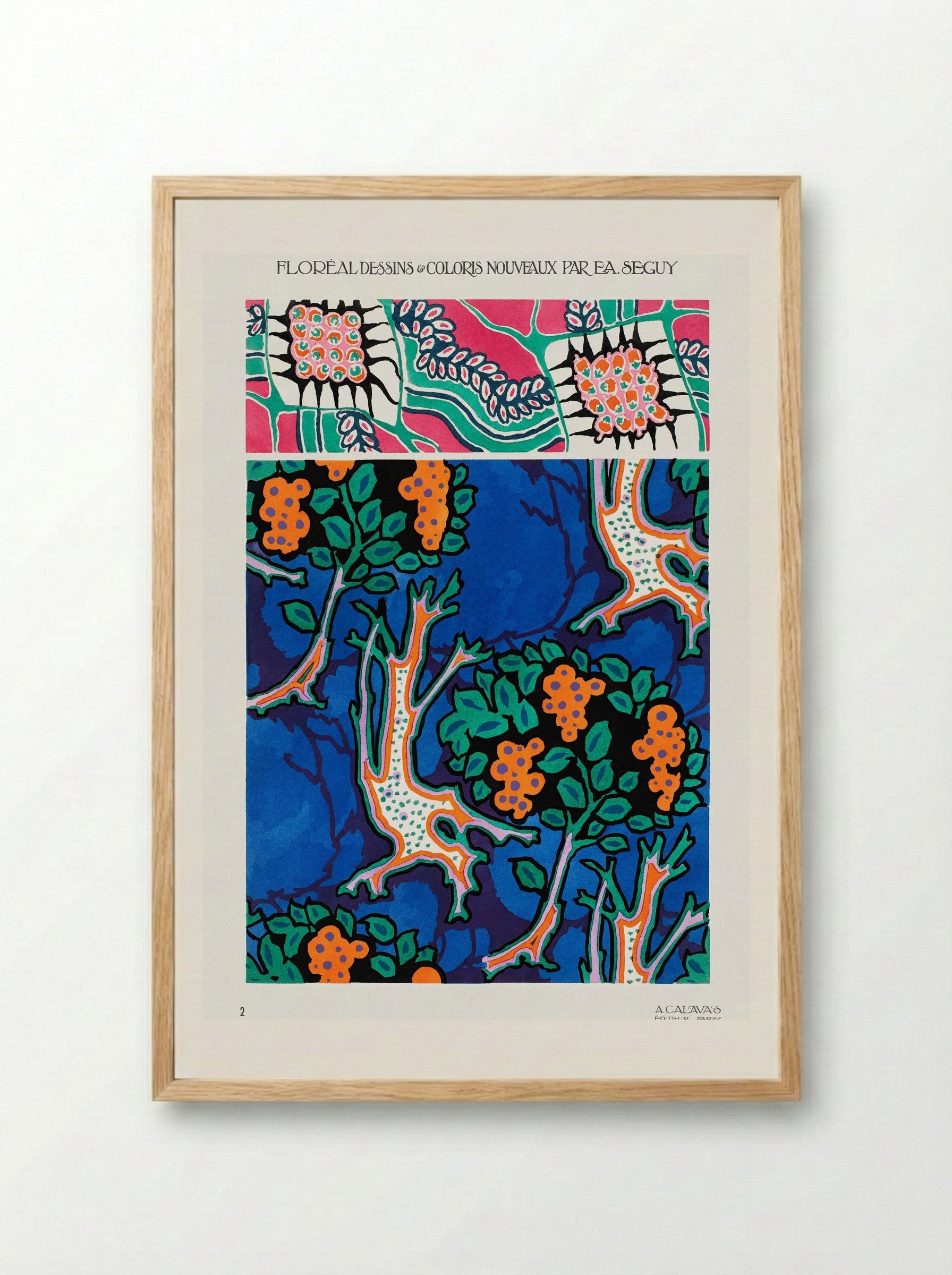 Floral Designs and Colour Schemes (Plate 4) - Émile-Allain Séguy - Framed Print Wood