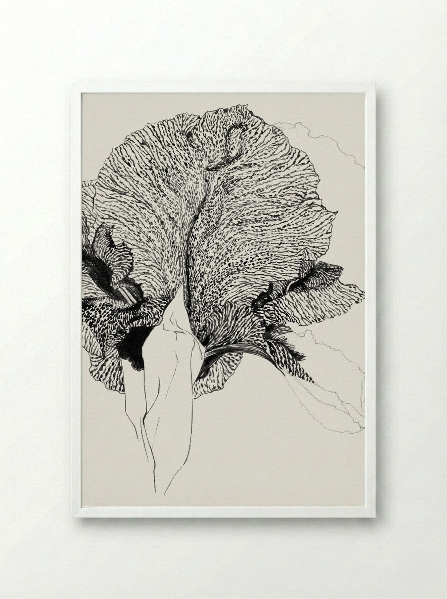 Iris - Julie de Graag - Framed Print White