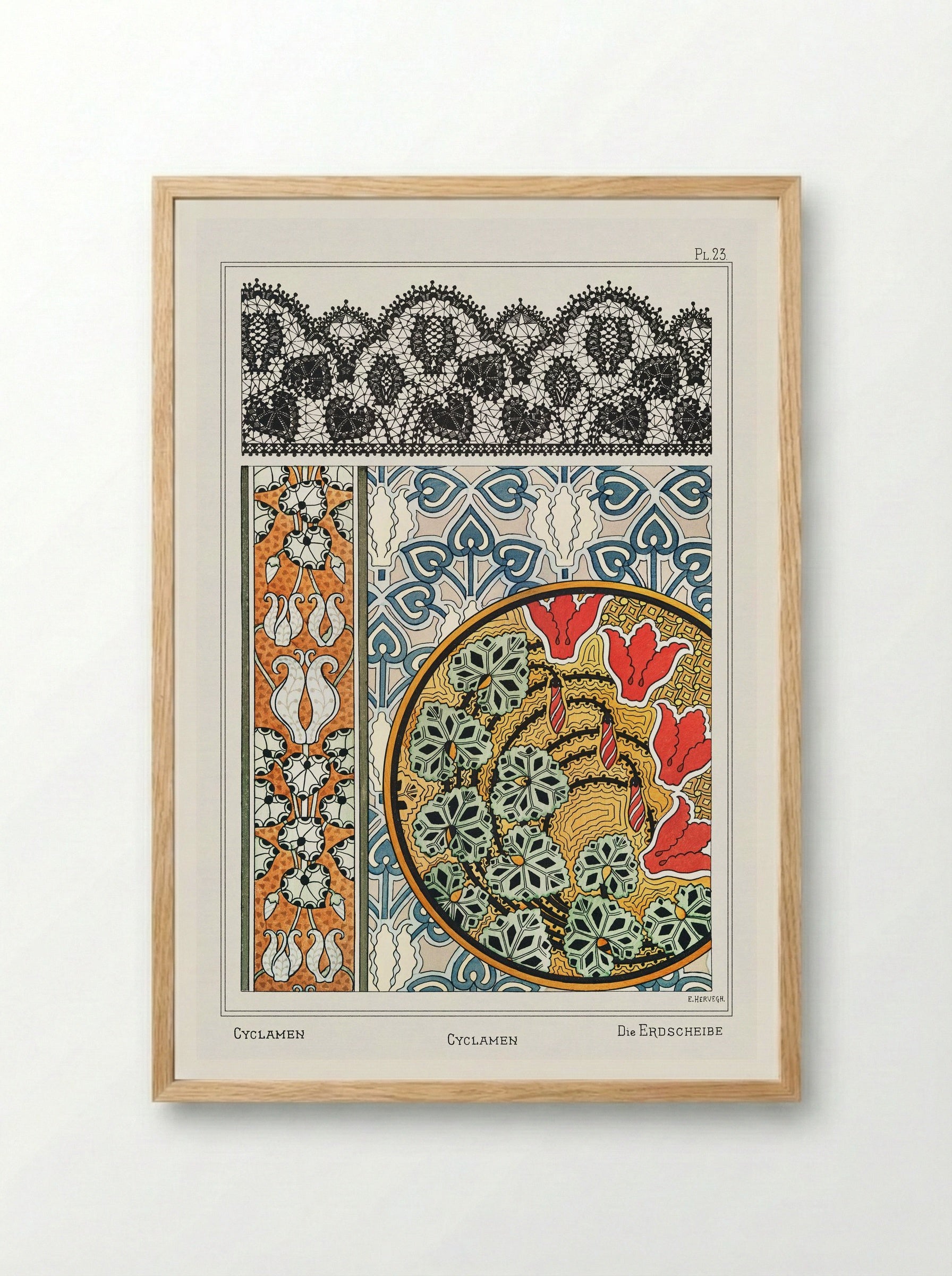 Cyclamen, from 'La Plante et ses Applications ornementales' - Maurice Pillard Verneuil - Framed Print Wood