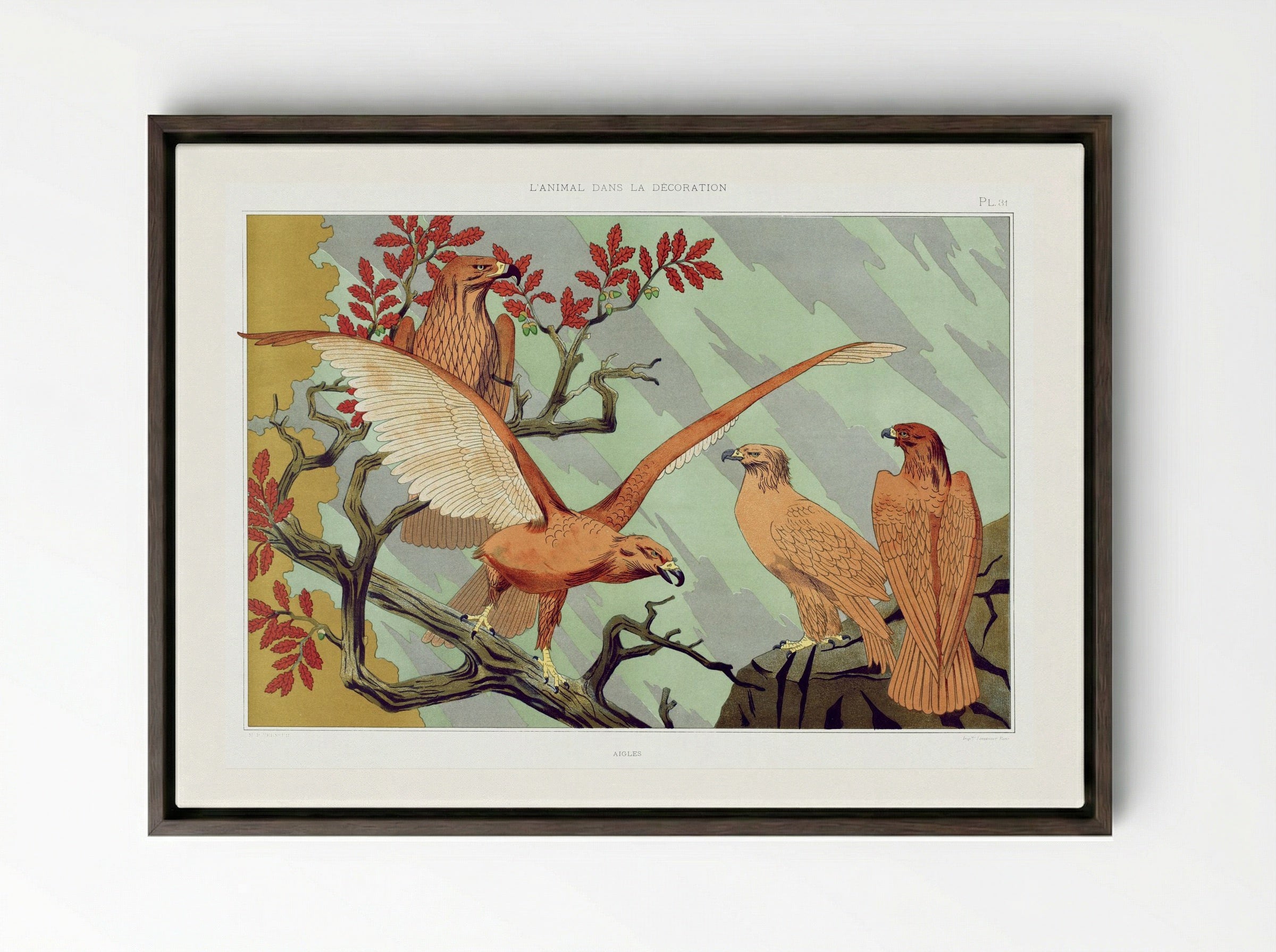 Aigles (Eagles) from L'animal dans la décoration - Maurice Pillard Verneuil - Framed Canvas Dark Wood