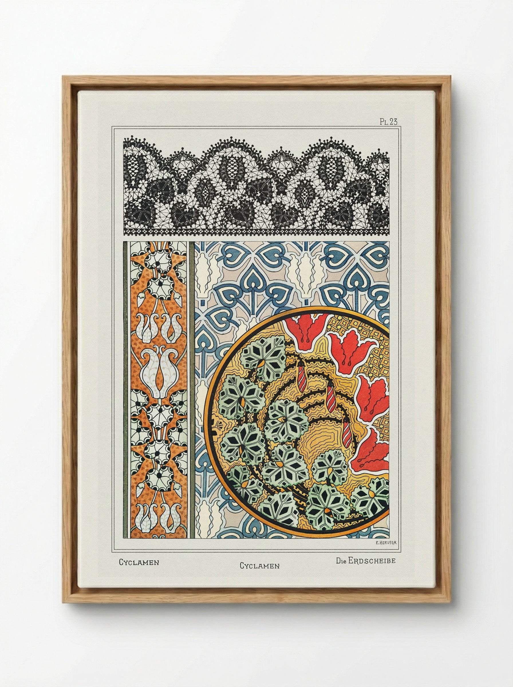 Cyclamen, from 'La Plante et ses Applications ornementales' - Maurice Pillard Verneuil - Framed Canvas Wood