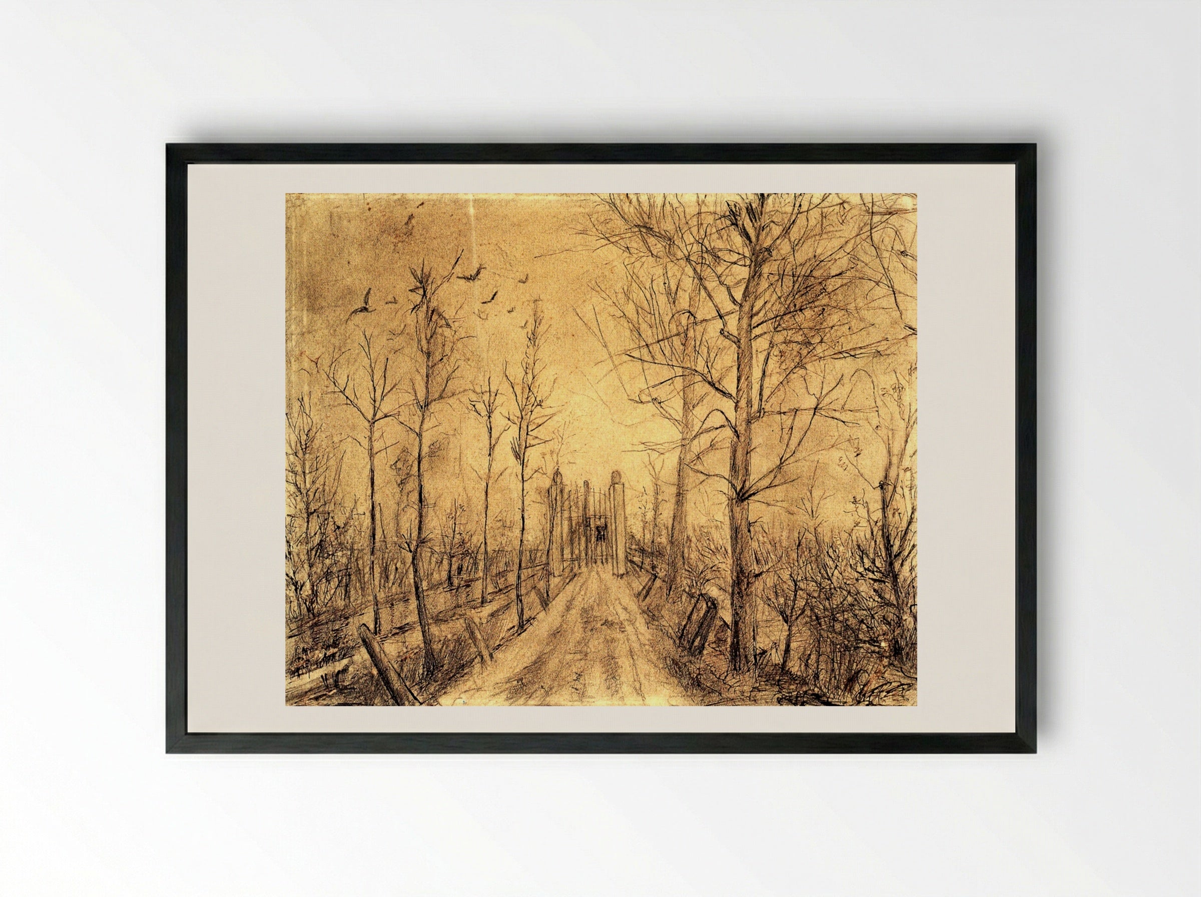 Untitled (Driveway with Trees and Birds) - Fine Art Print - Framed Print Black