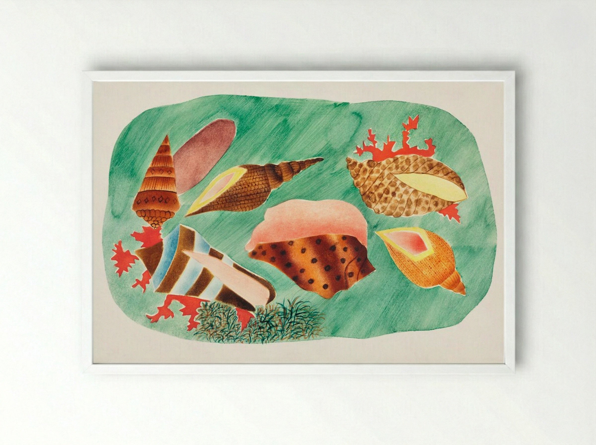 Shells in Seaweed - Mary Altha Nims - Framed Print White