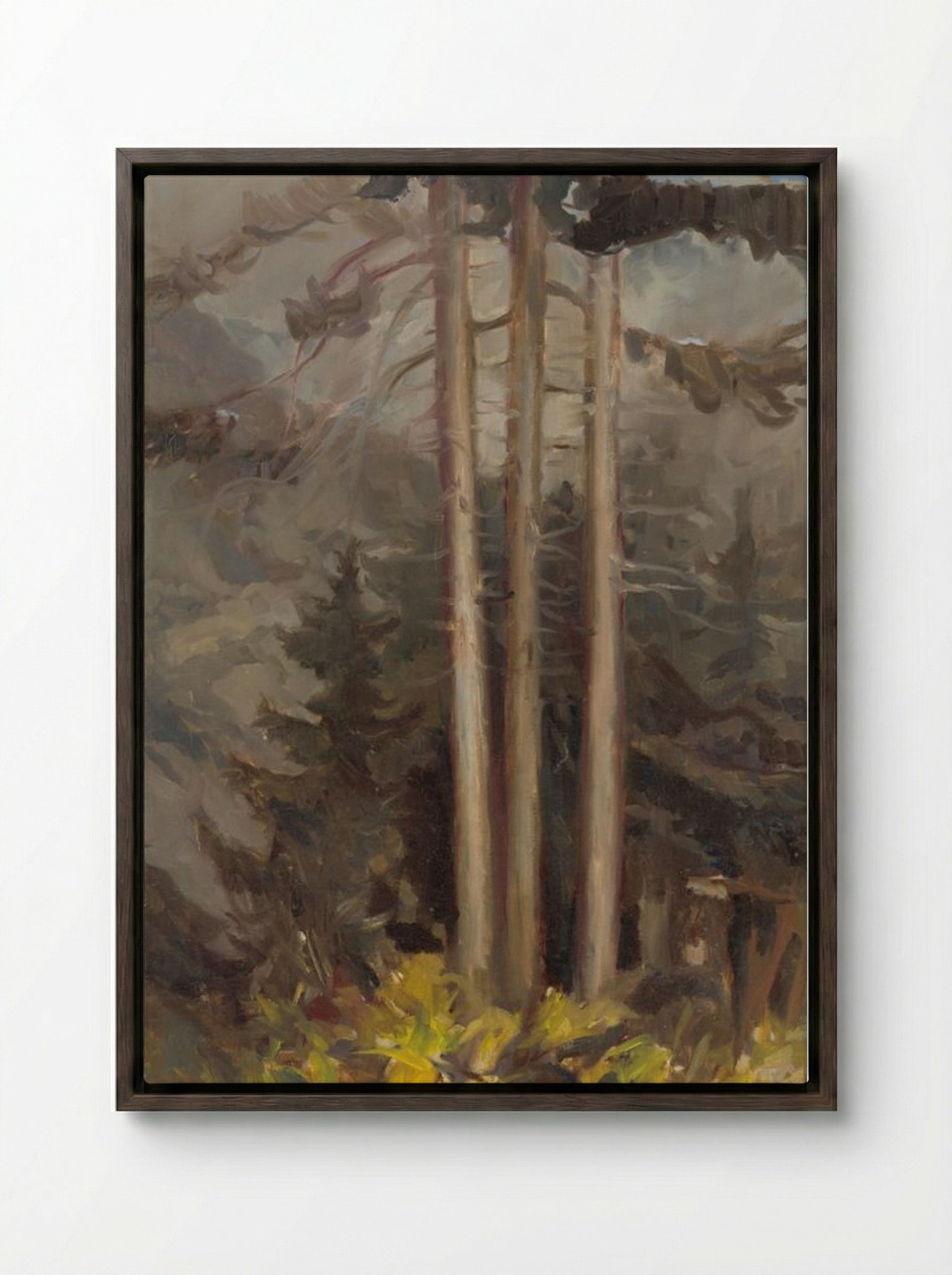 Spruce - Zolo Palugyay - Framed Canvas Dark Wood
