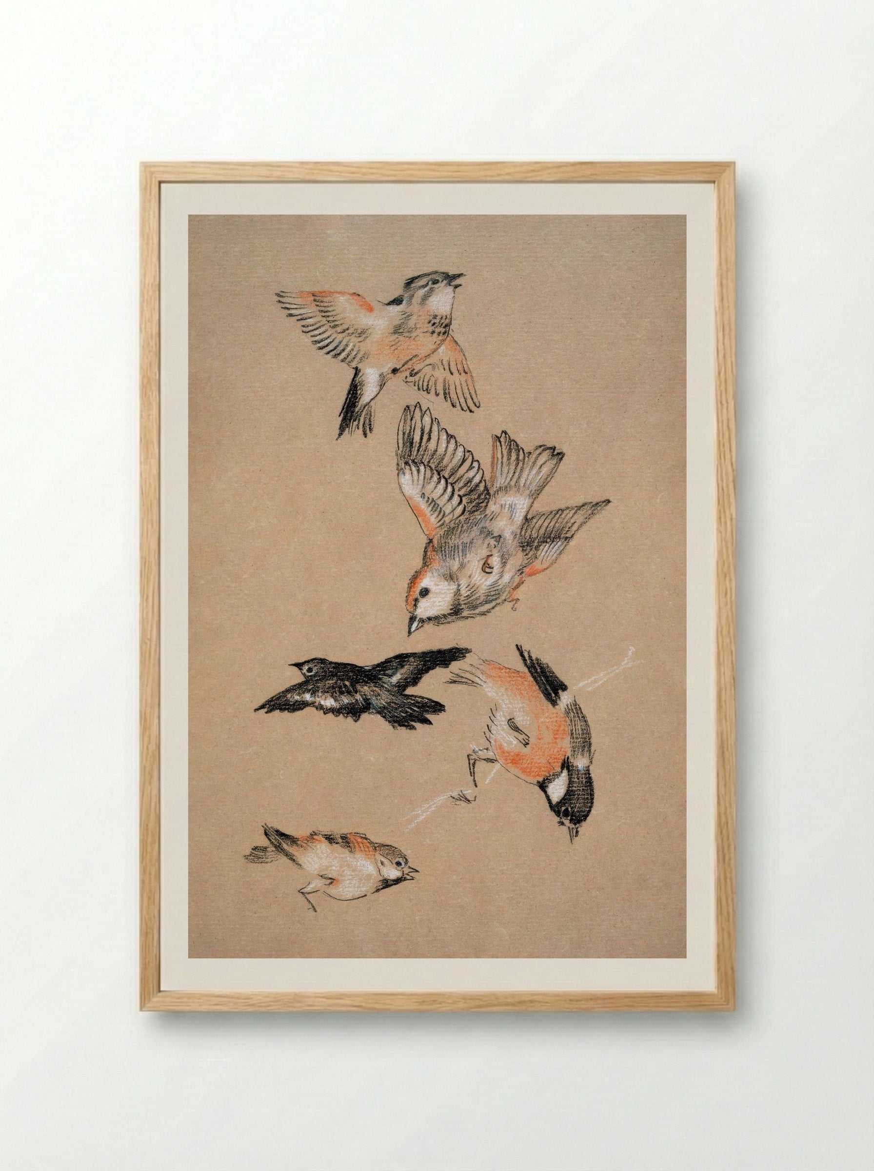 Study of Finches (for 'Love Leading the Pilgrim') - Edward Burne-Jones - Framed Print Wood