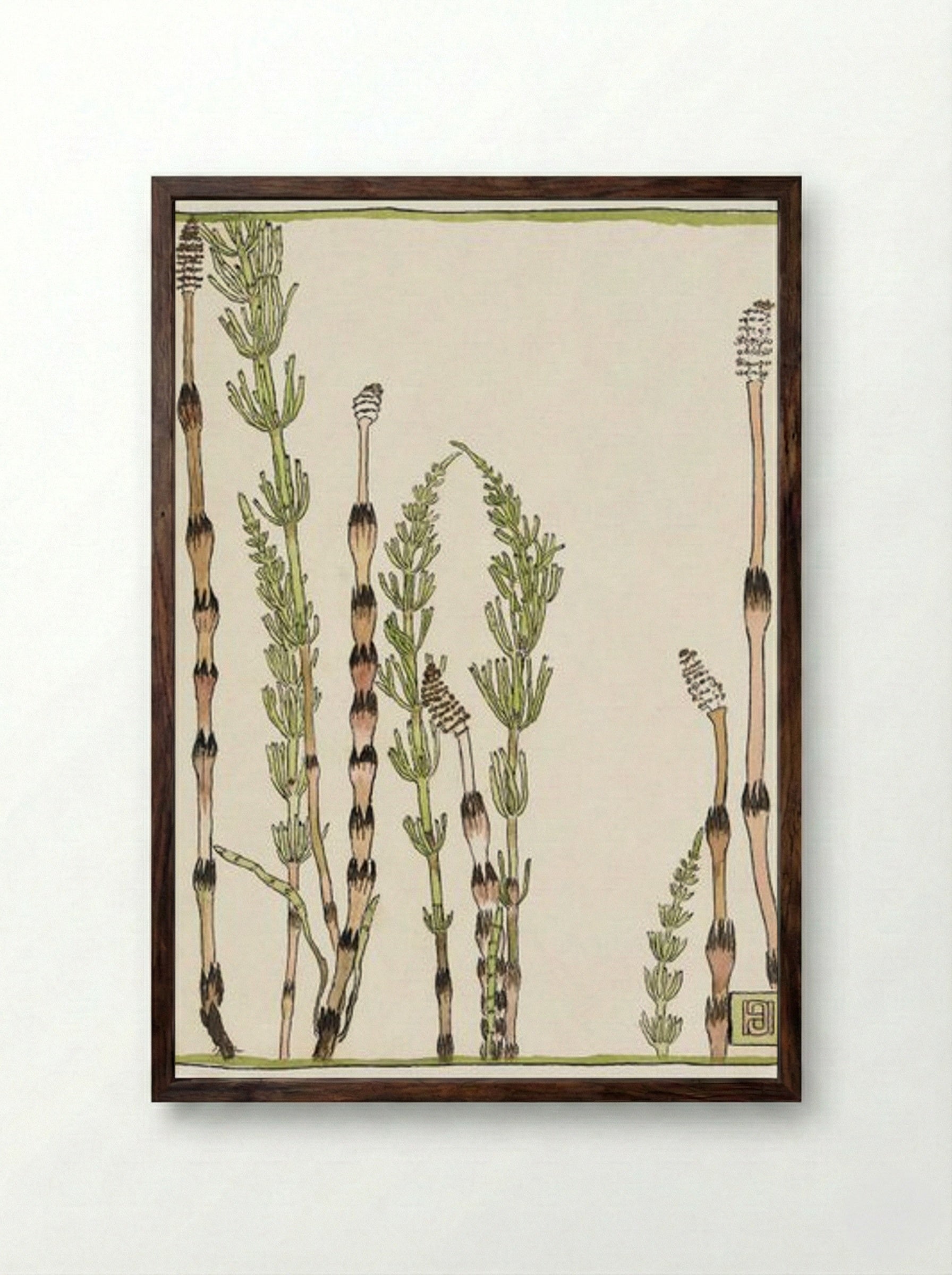 Horsetail - Hannah Borger Overbeck - Framed Print Dark Wood