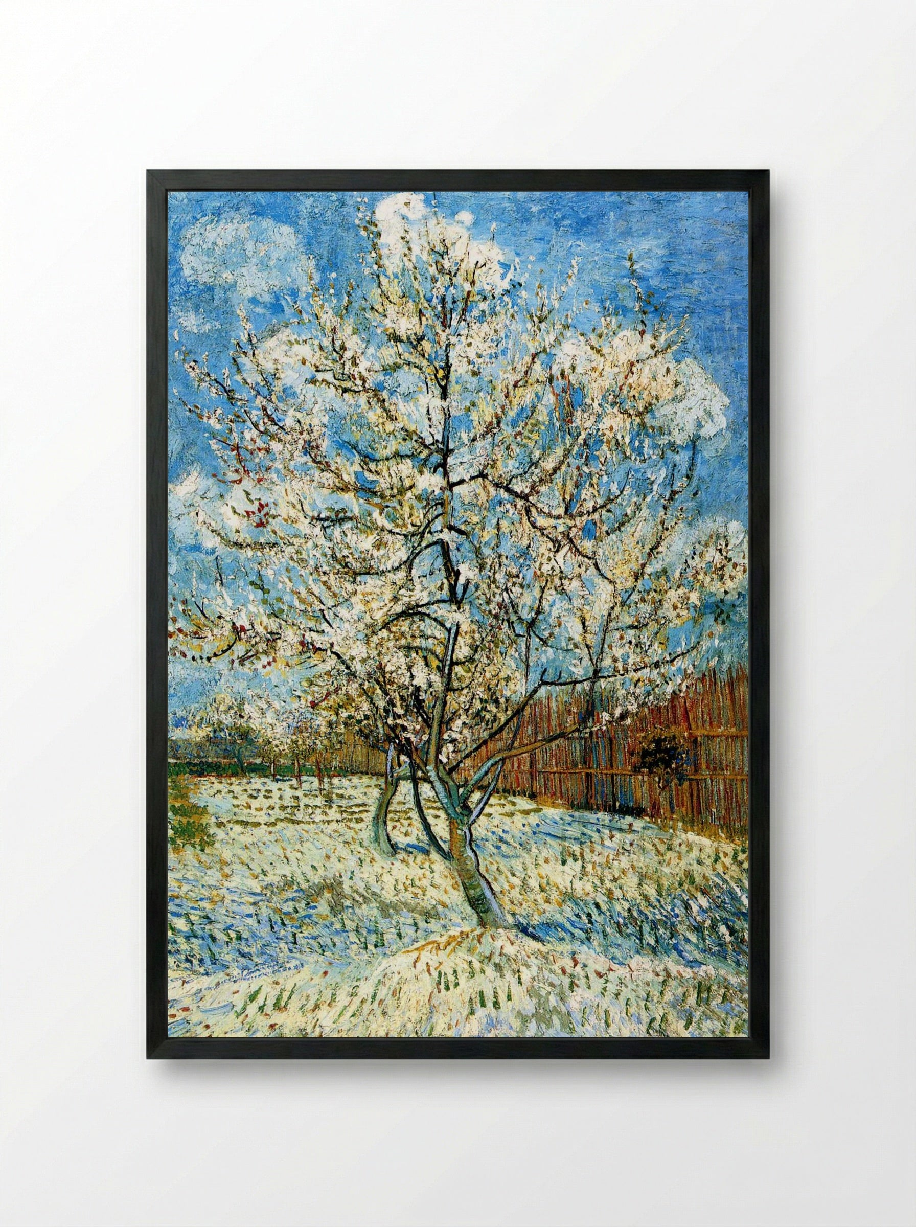 Peach Trees in Blossom - Vincent van Gogh - Framed Print Black