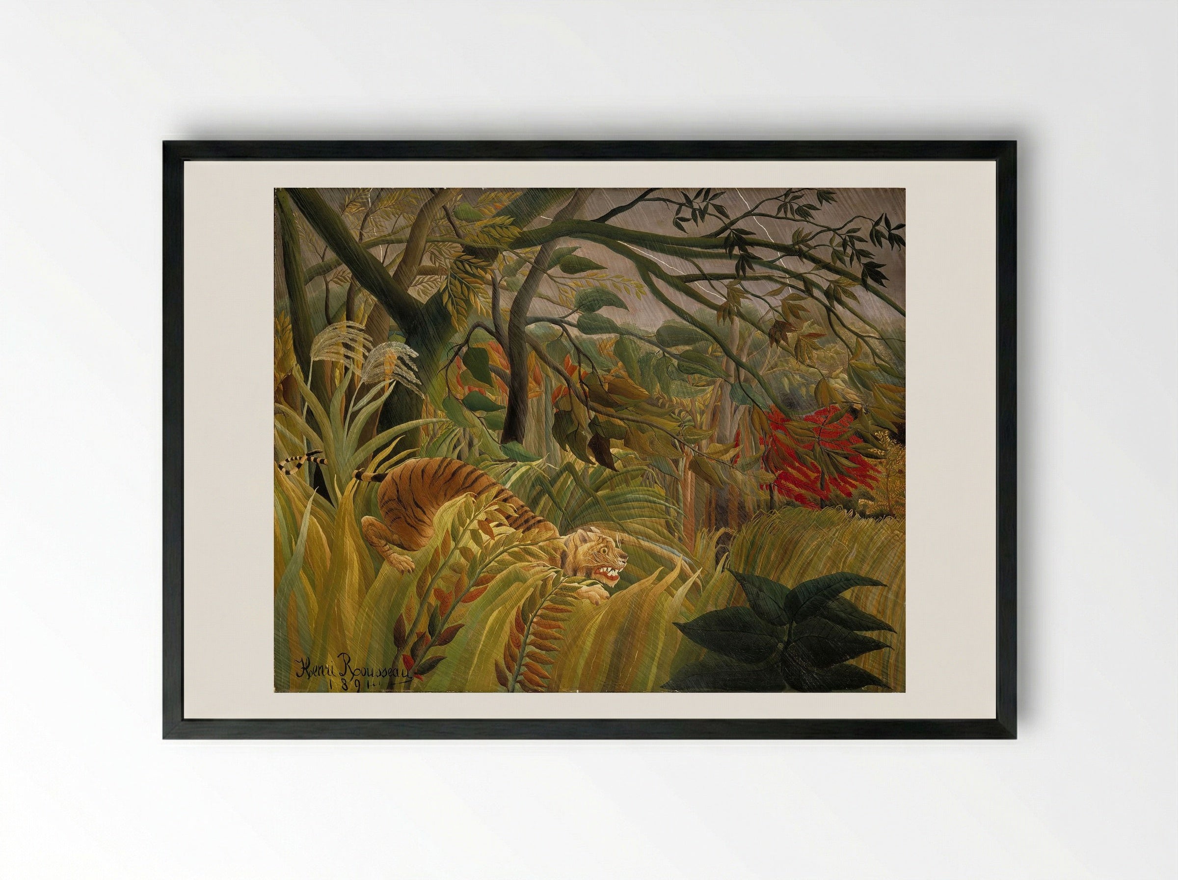 Tiger in a Tropical Storm (Surprised!) - Henri Rousseau - Framed Print Black