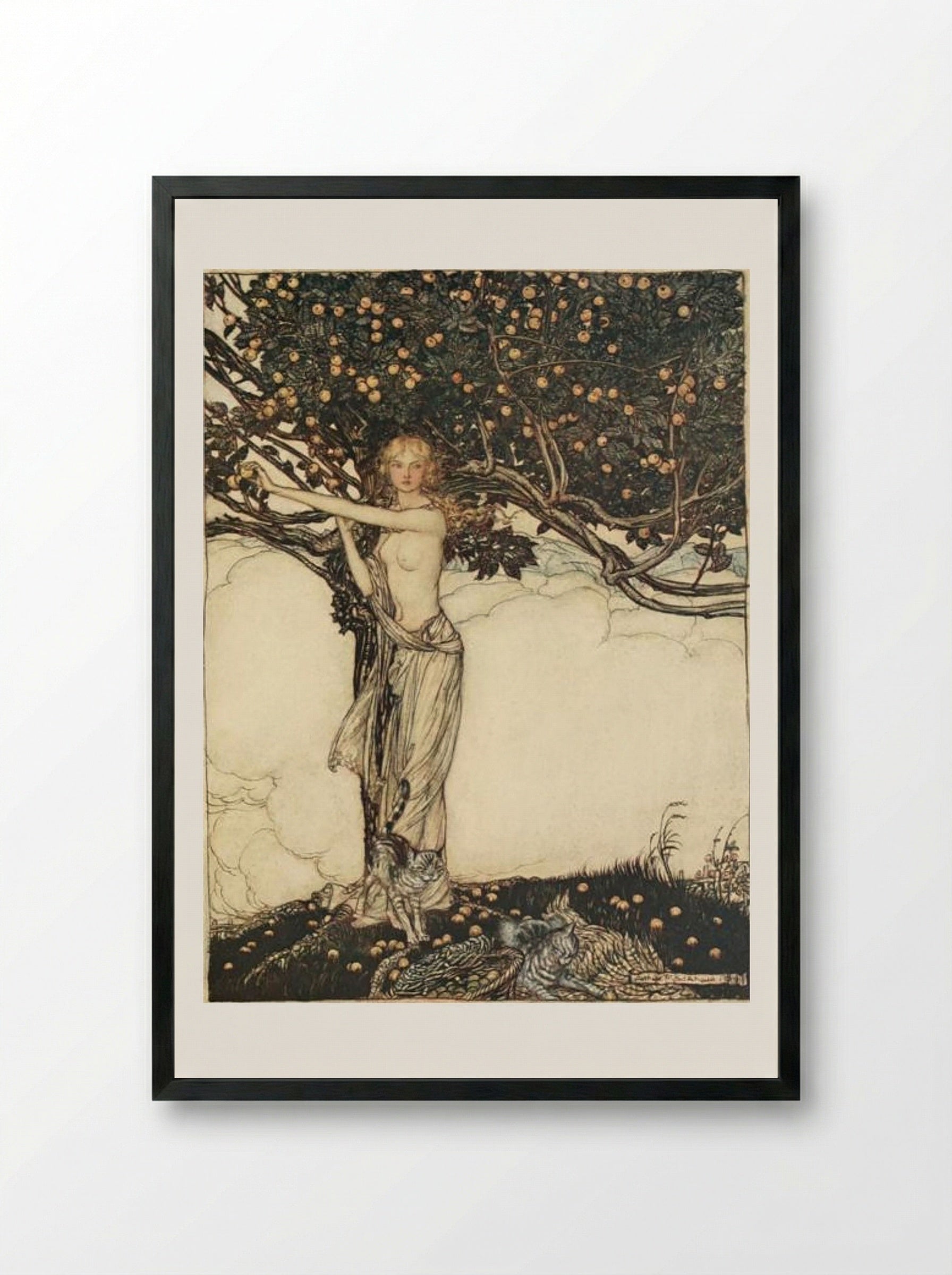 Freia, the fair one - Arthur Rackham - Framed Print Black
