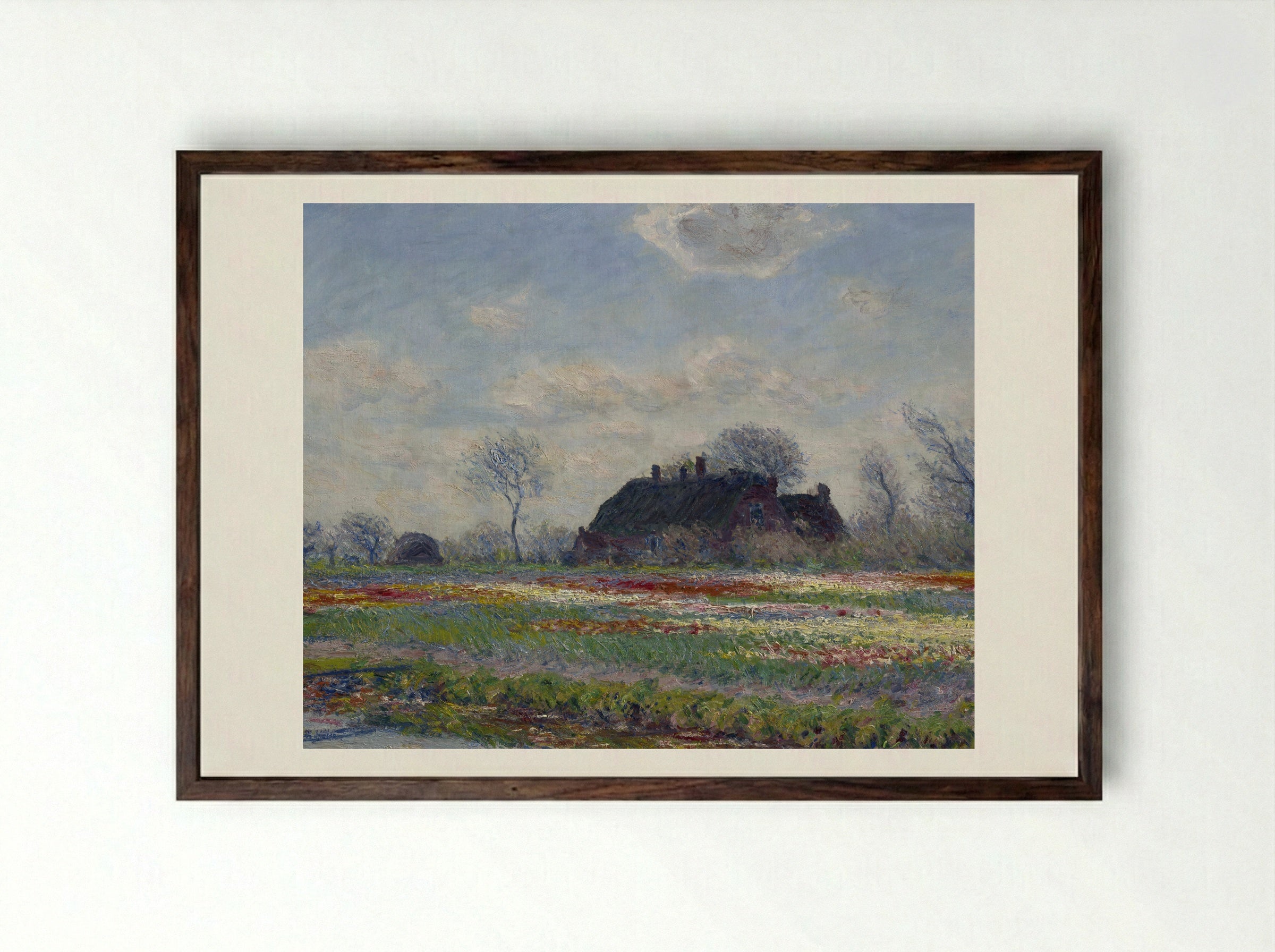 Tulip Fields at Sassenheim - Claude Monet - Framed Print Dark Wood