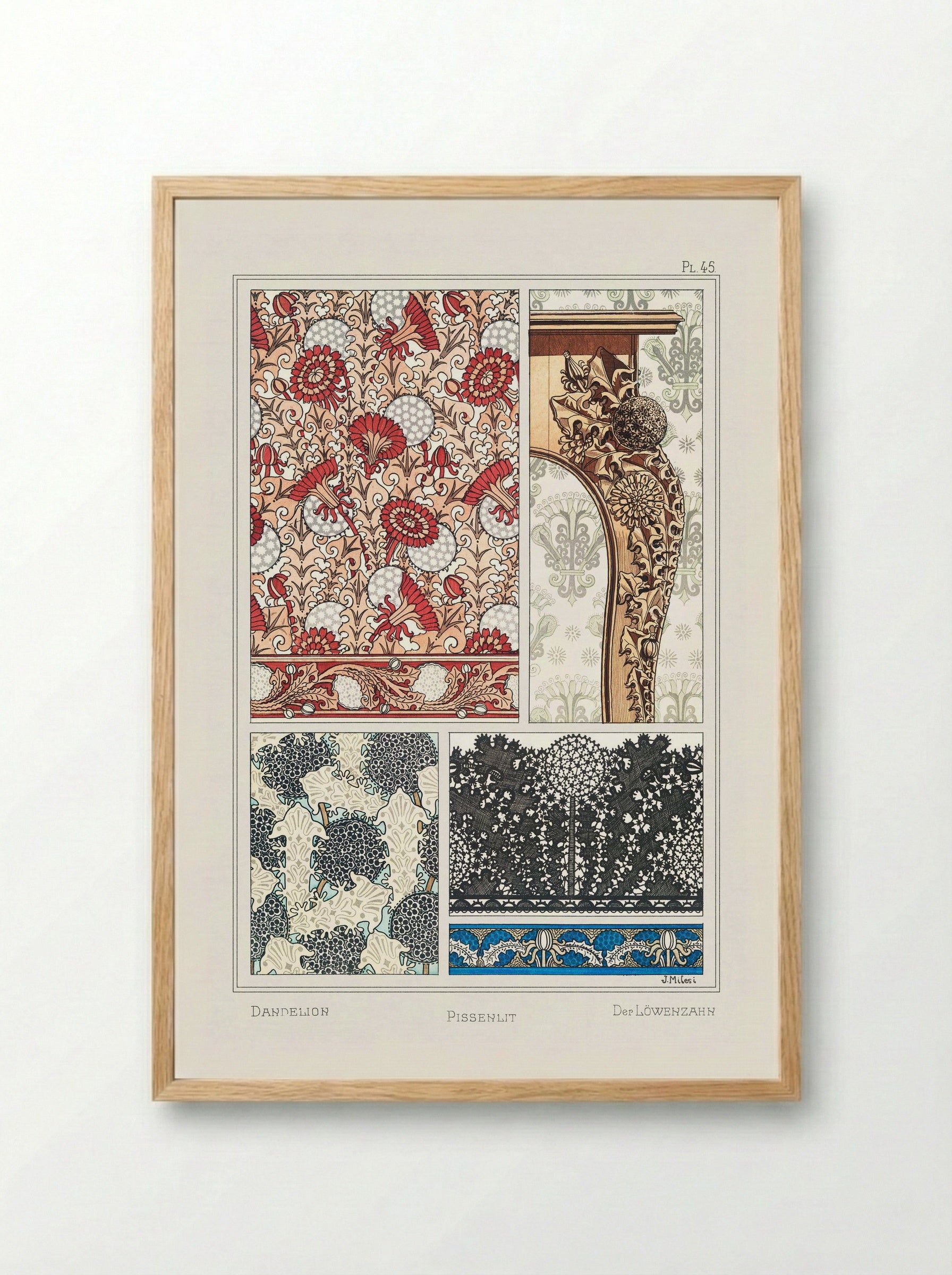 Pissenlit (Dandelion) from La Plante et ses Applications ornementales - Maurice Pillard Verneuil - Framed Print Wood