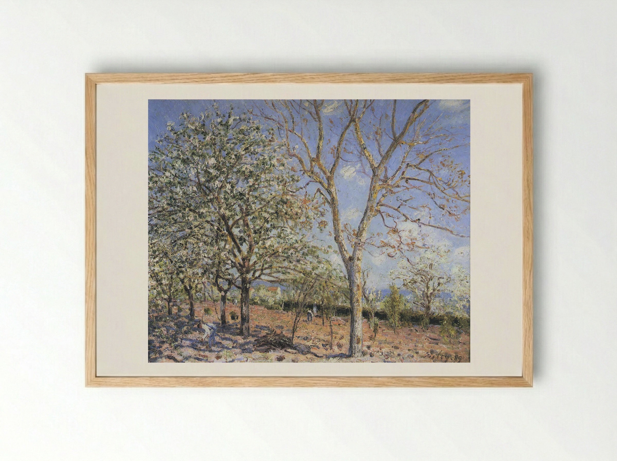Trees in Bloom - Camille Pissarro - Framed Print Wood