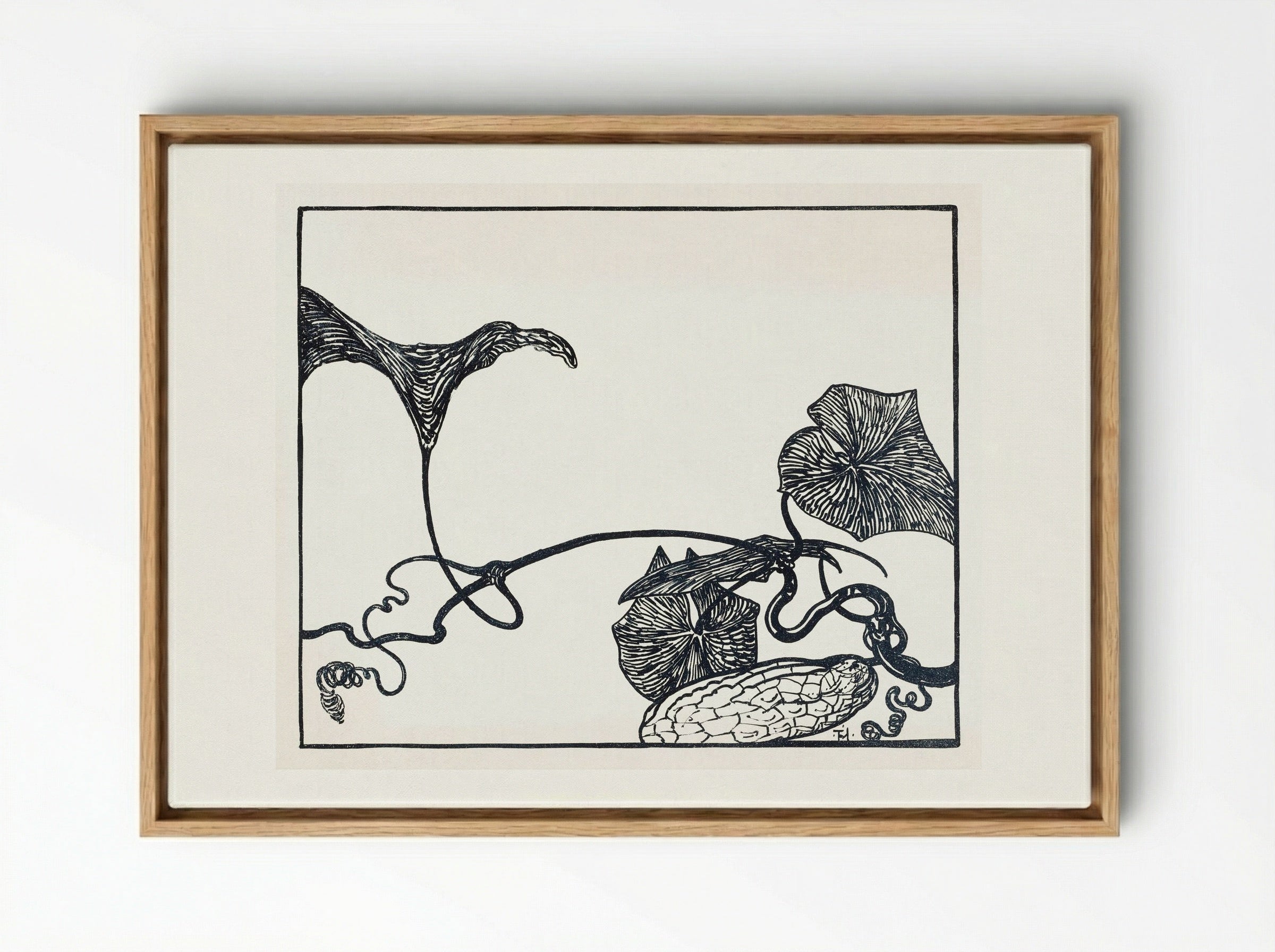 Augurkenplant (Gherkin Plant) - Theo van Hoytema - Framed Canvas Wood