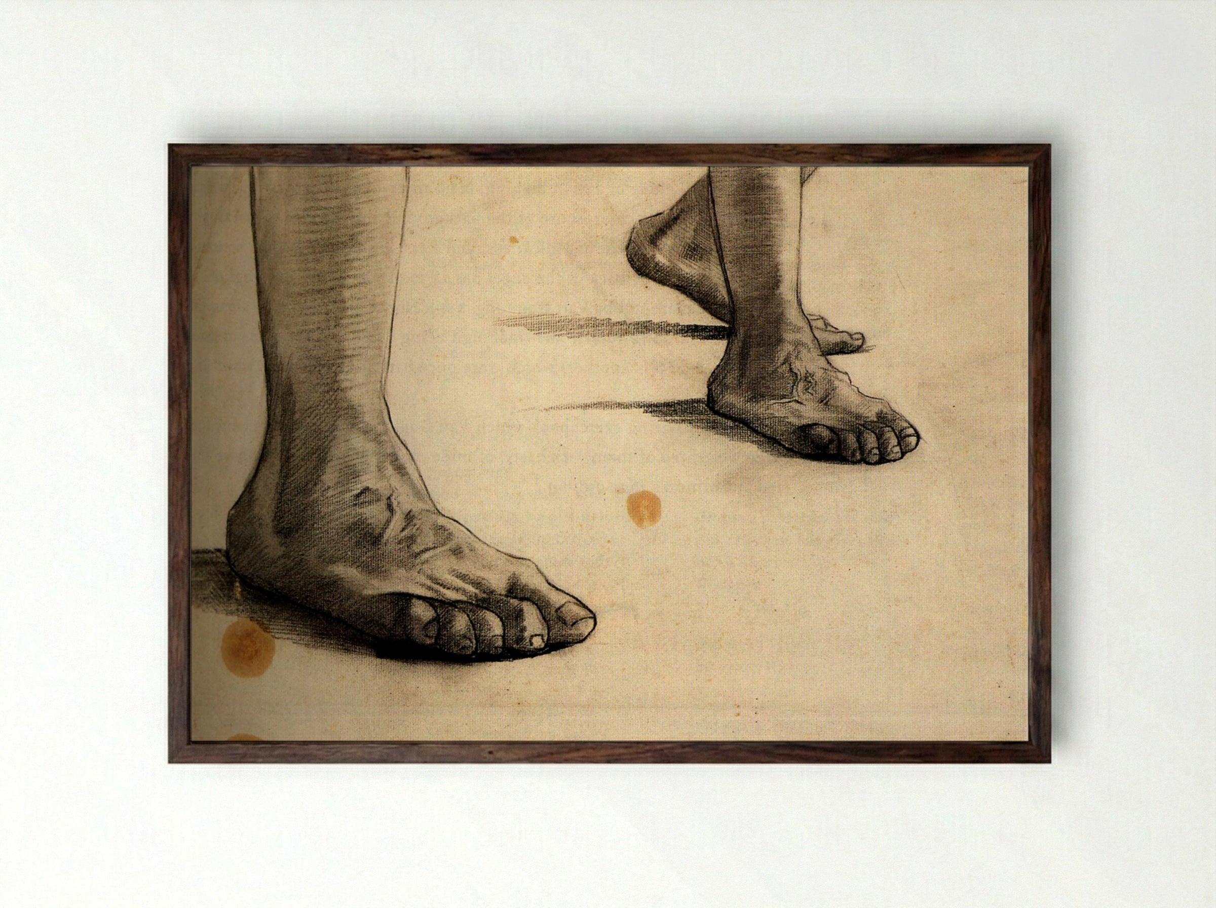 Study of Feet (Anatomical Drawing) - Fine Art Print - Framed Print Dark Wood