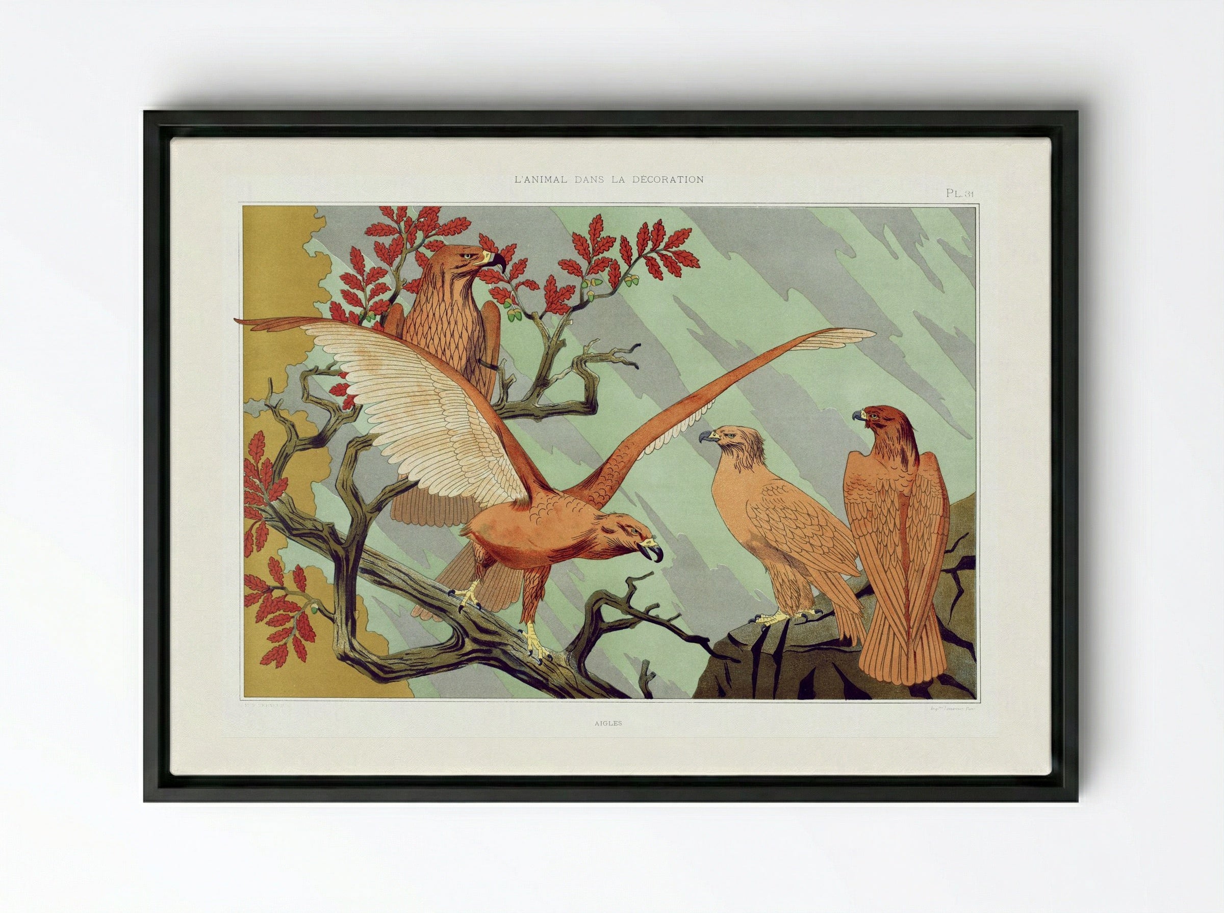 Aigles (Eagles) from L'animal dans la décoration - Maurice Pillard Verneuil - Framed Canvas Black