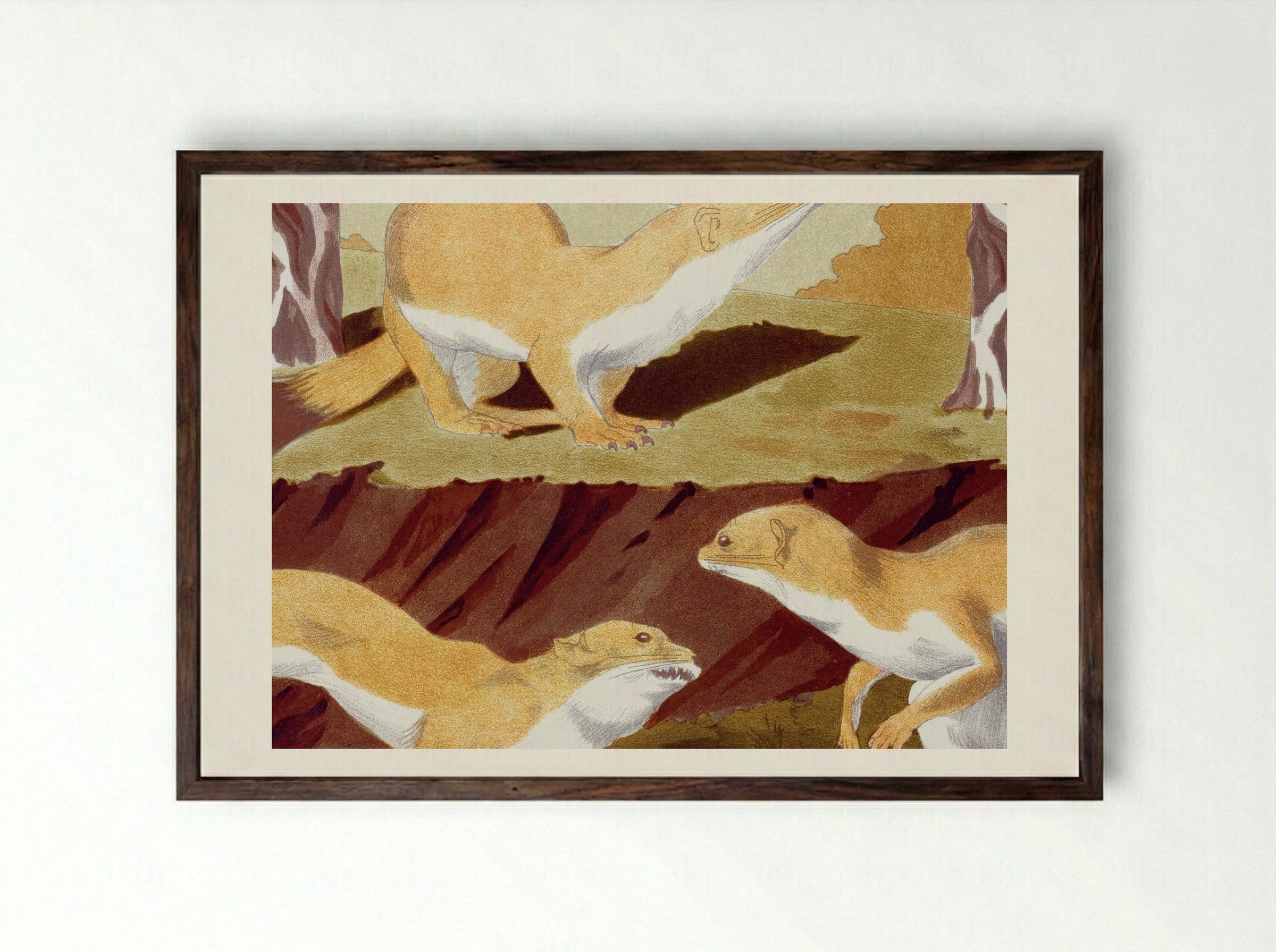 Hermines Vulgaires (Common Stoats) - Maurice Pillard Verneuil - Framed Print Dark Wood