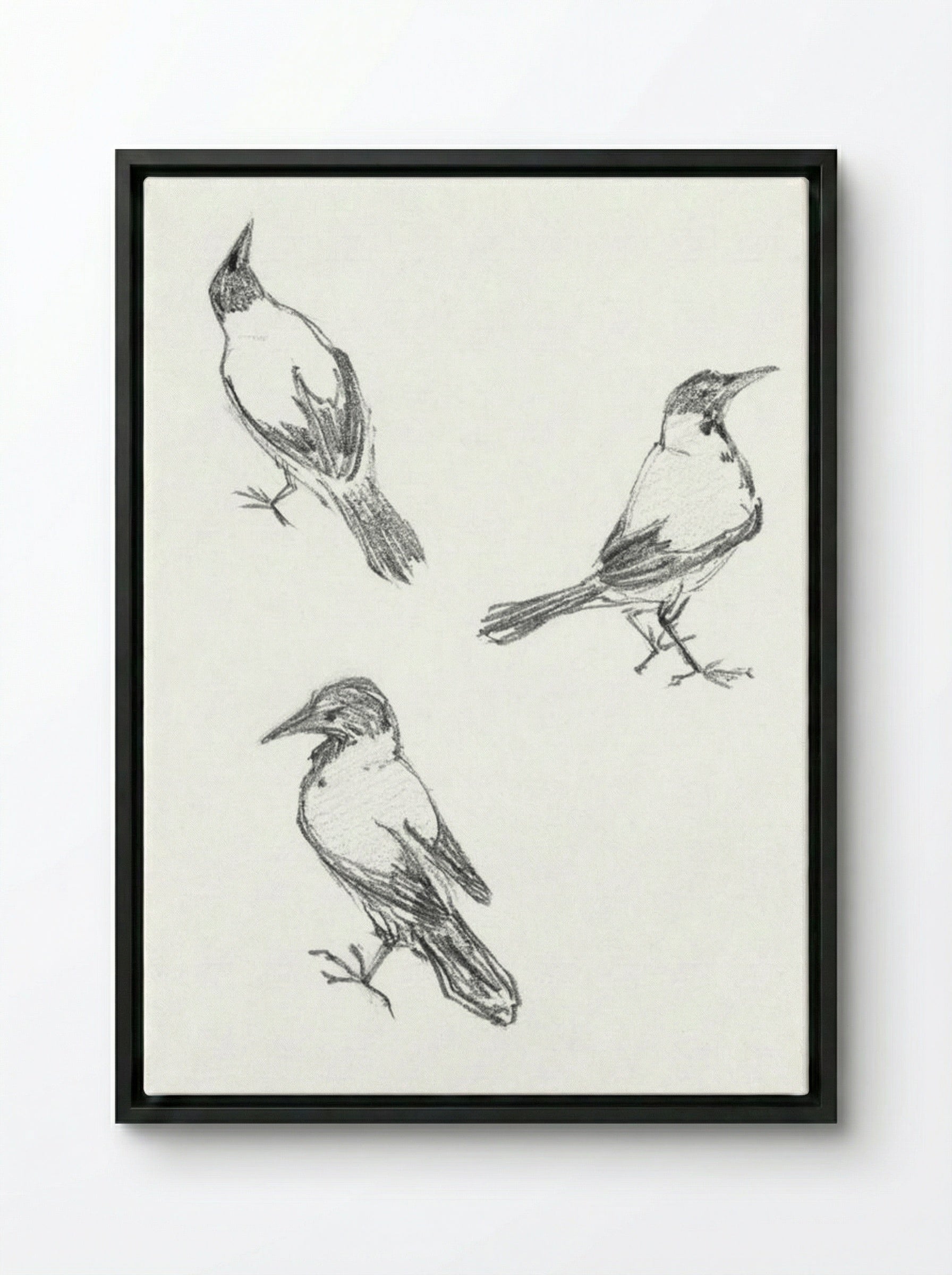 Three Sketches of a Crow - Julie de Graag - Framed Canvas Black