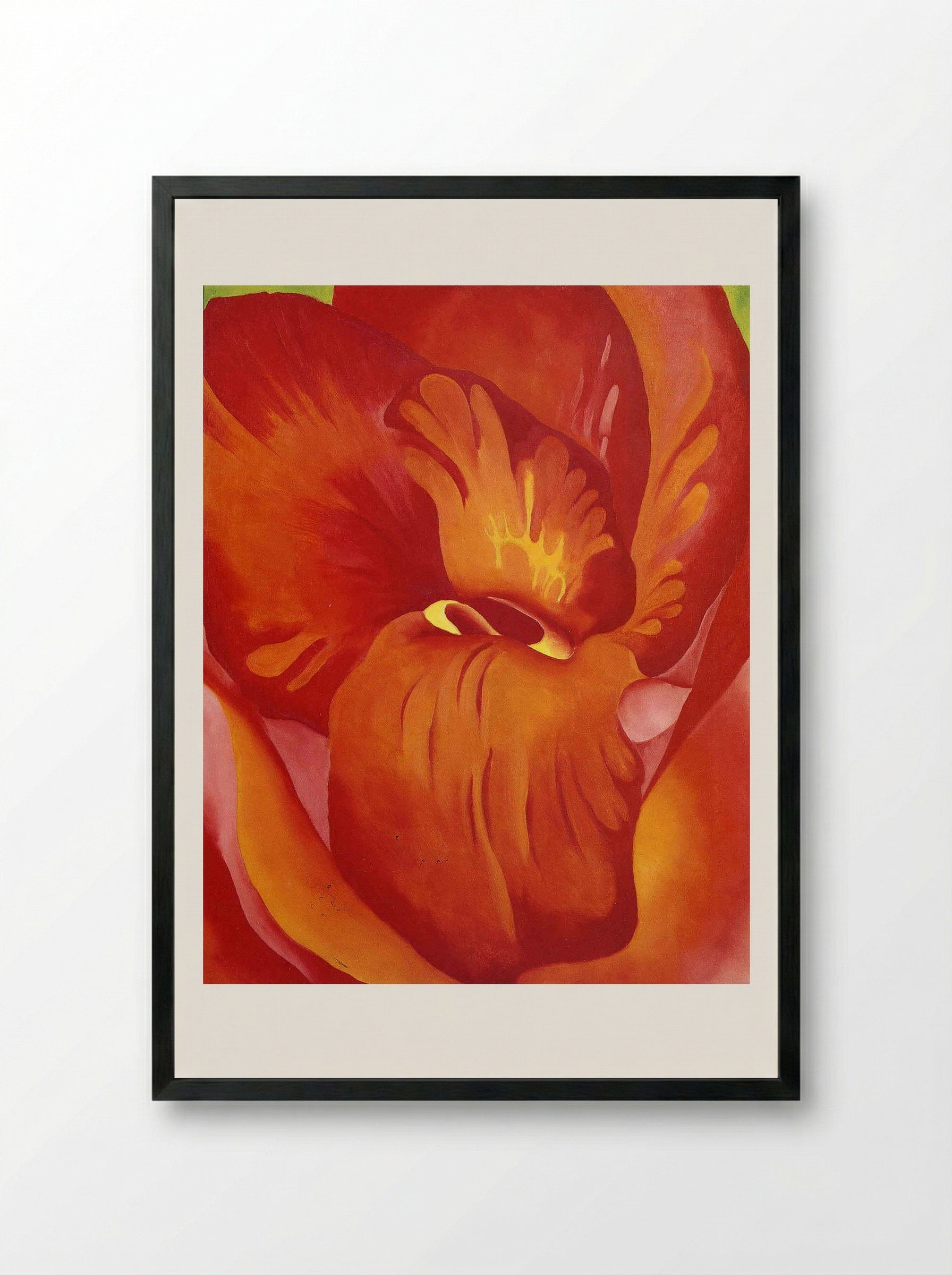 Canna Red and Orange - Georgia O'Keeffe - Framed Print Black