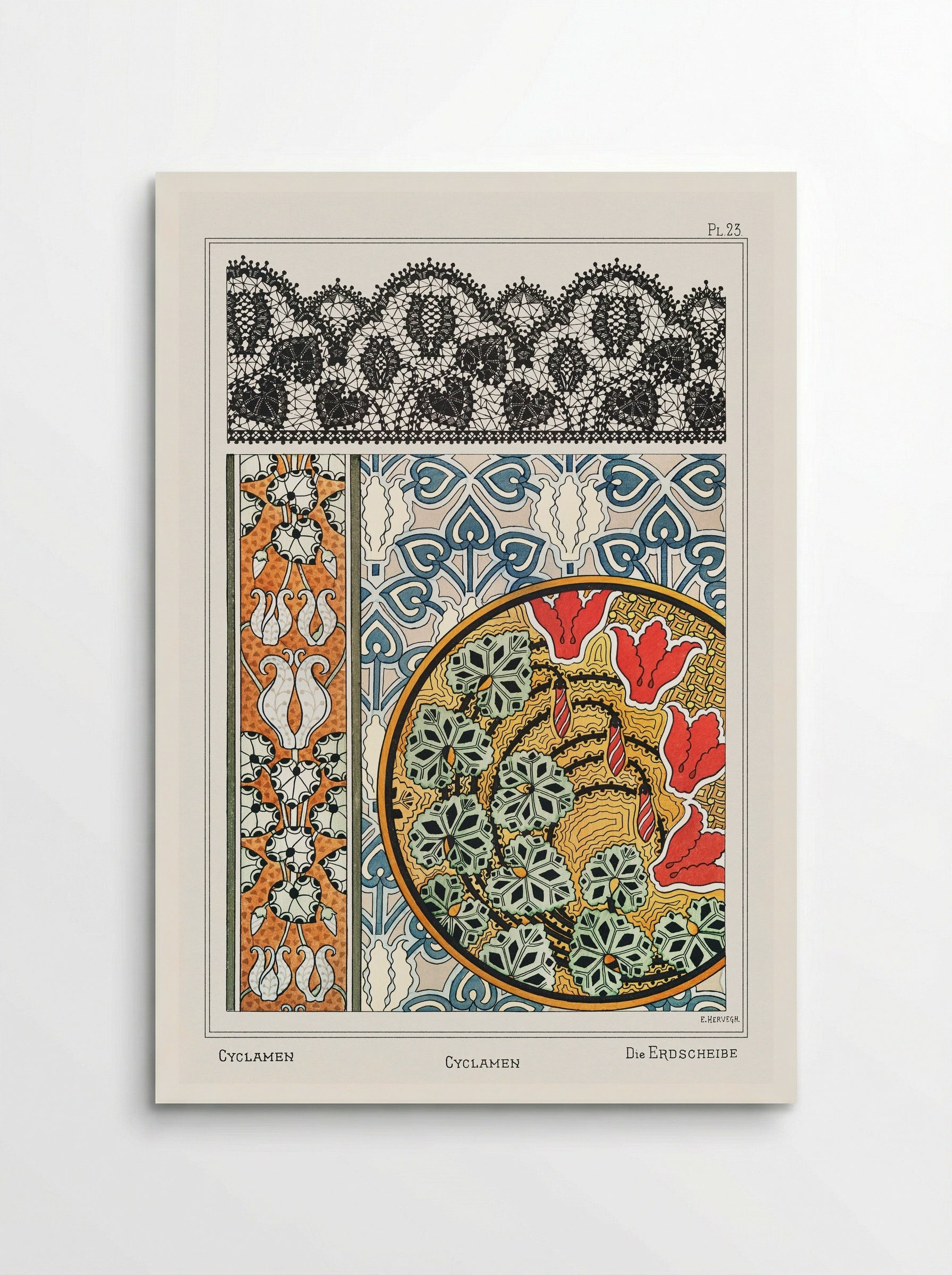 Cyclamen, from 'La Plante et ses Applications ornementales' - Maurice Pillard Verneuil - Poster