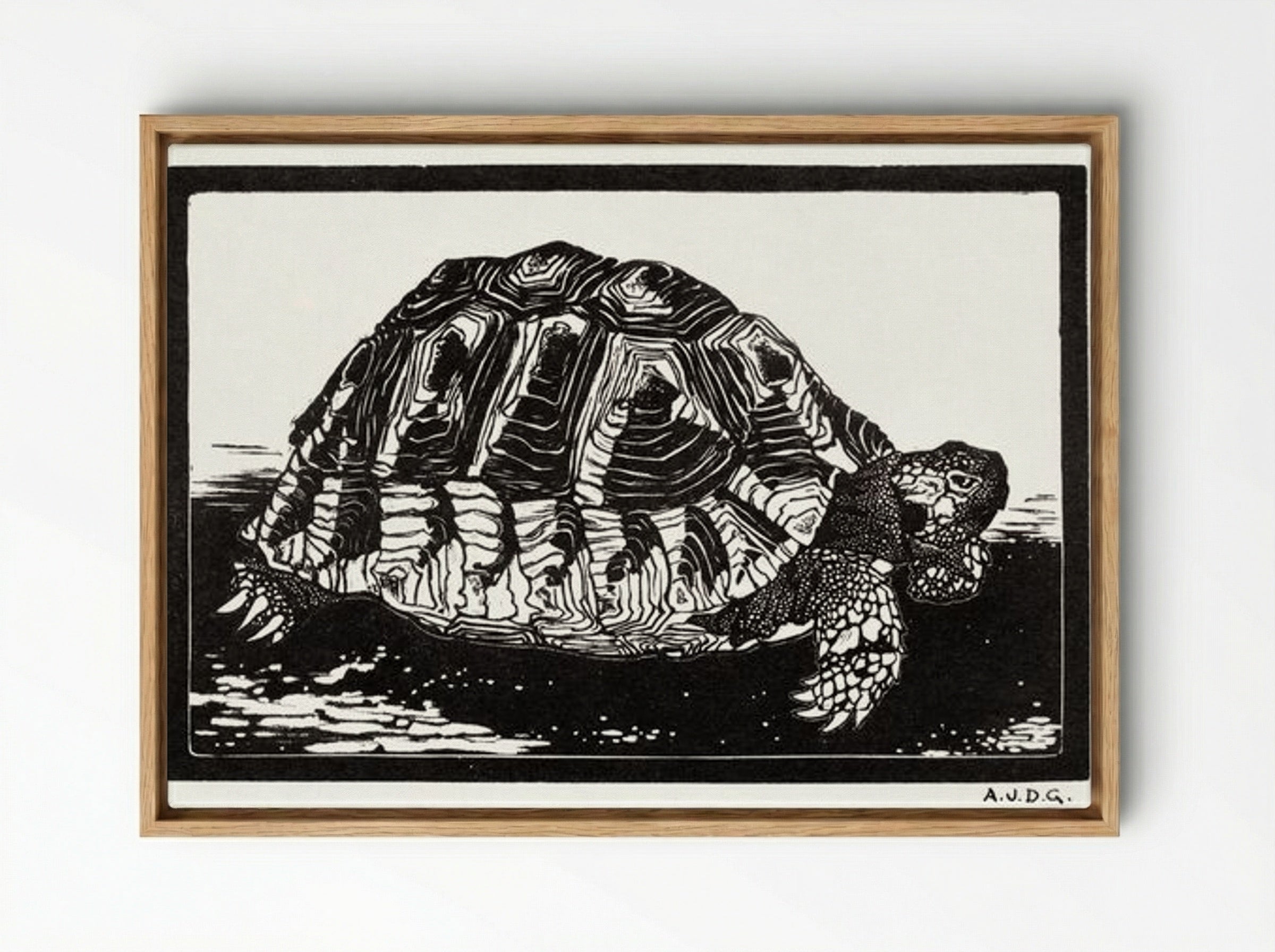 Turtle - Julie de Graag - Framed Canvas Wood