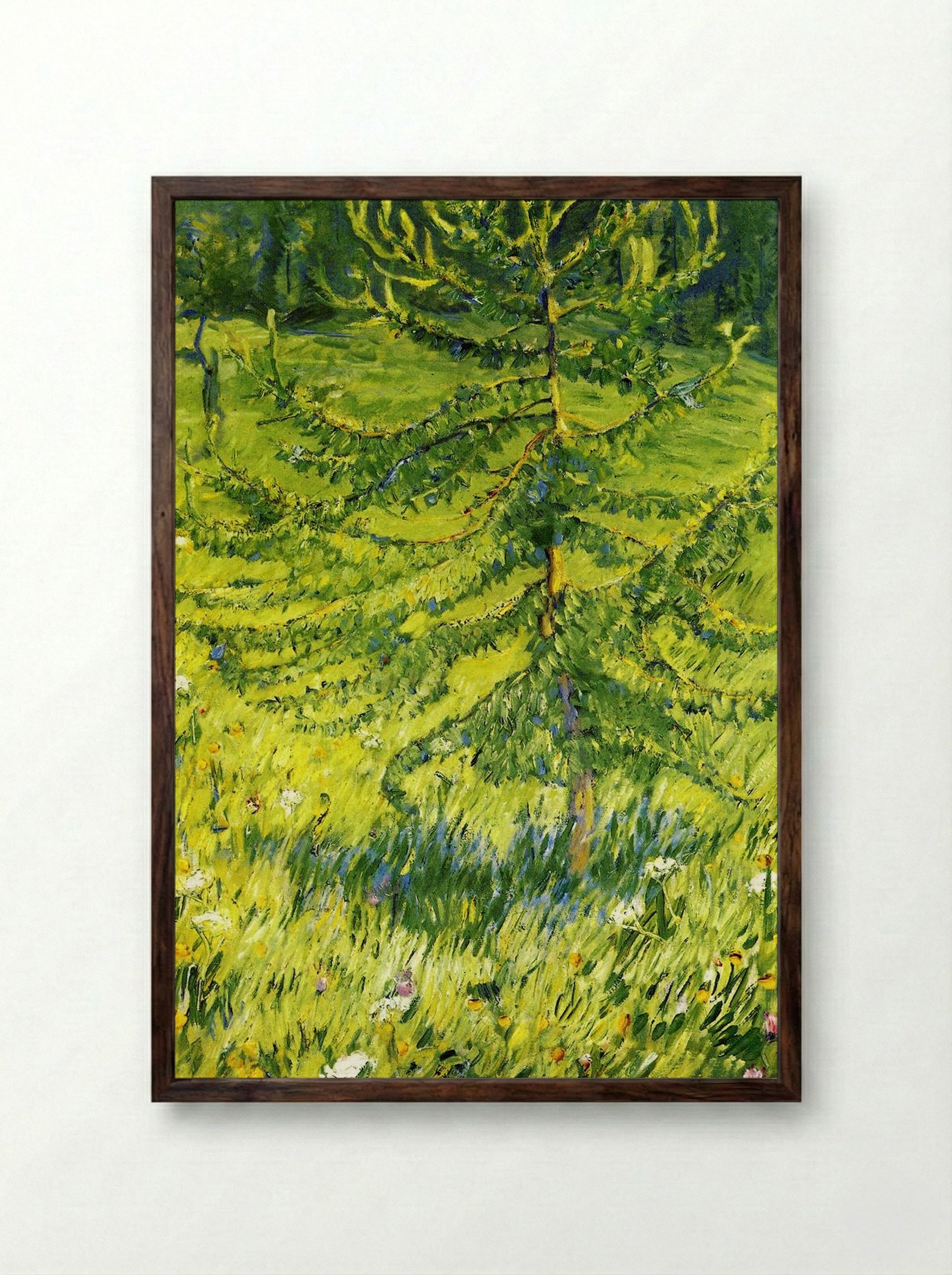 Larch Sapling - Konstantin Korovin - Framed Print Dark Wood
