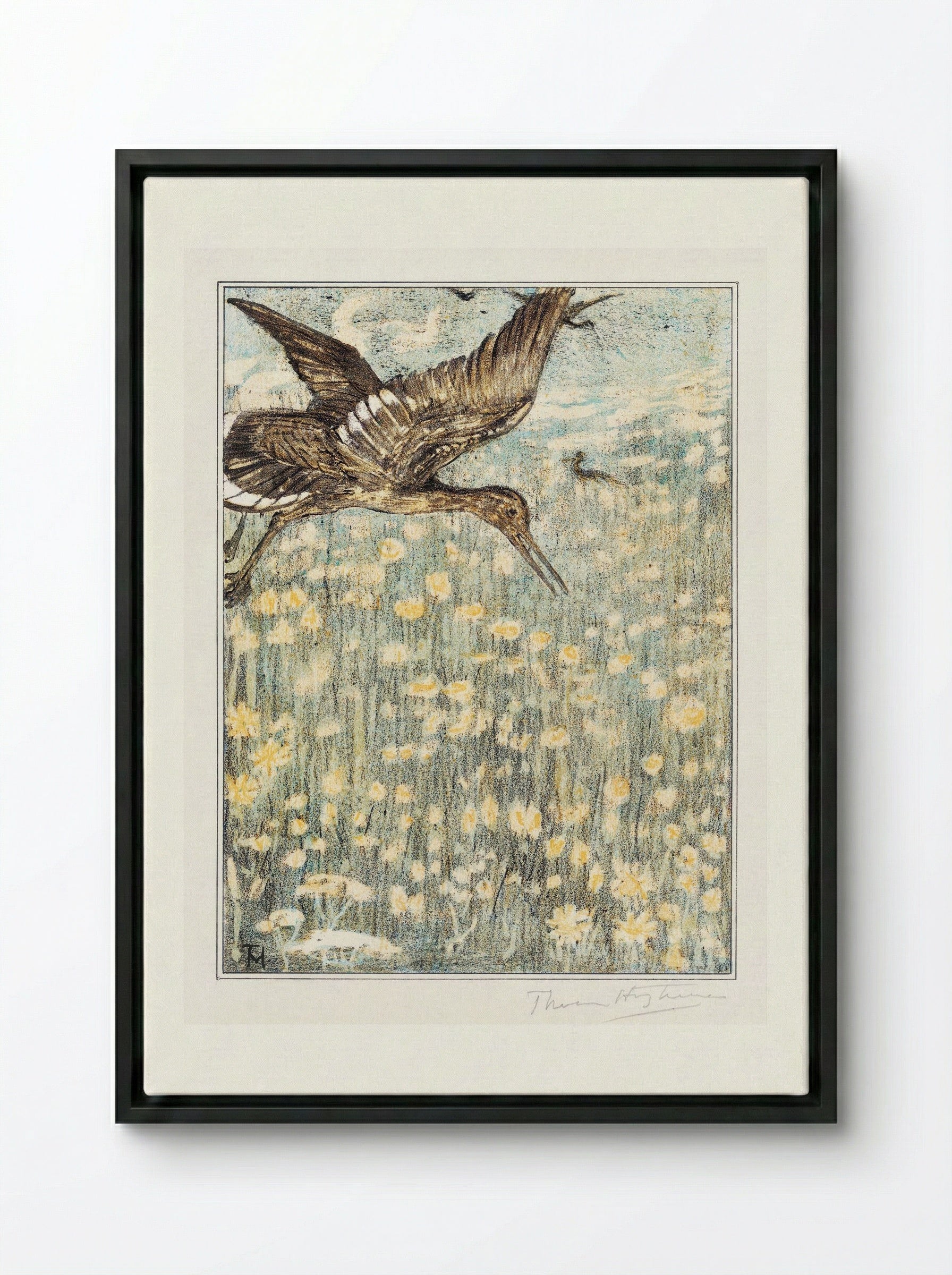 Tureluur (Redshank) - Theo van Hoytema - Framed Canvas Black