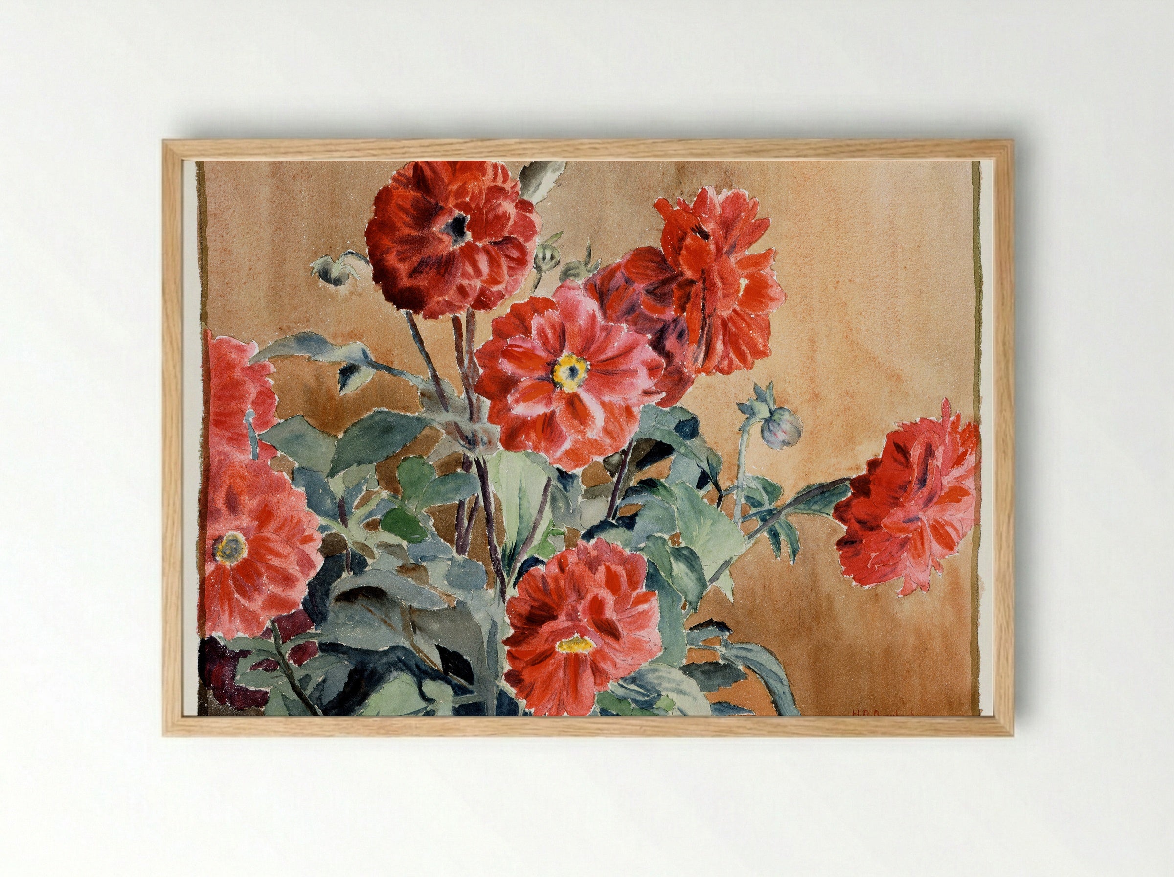 Dahlias (1915) - Hannah Borger Overbeck - Framed Print Wood