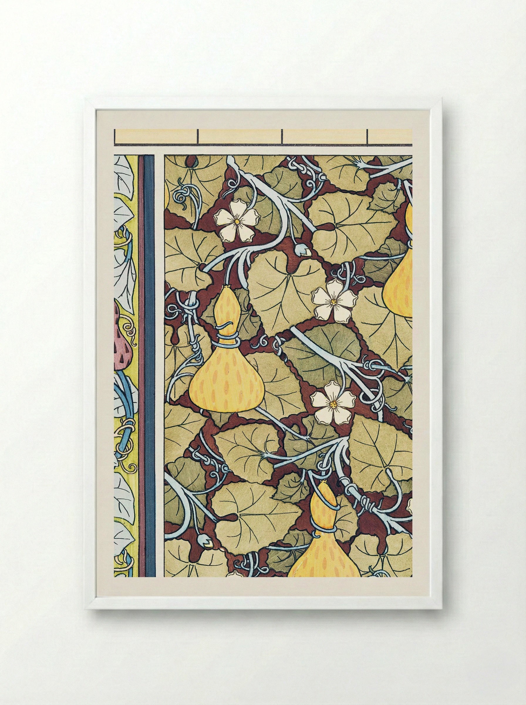 Courge (White-Flowered Gourd, from La Plante et ses Applications ornementales) - Maurice Pillard Verneuil - Framed Print White