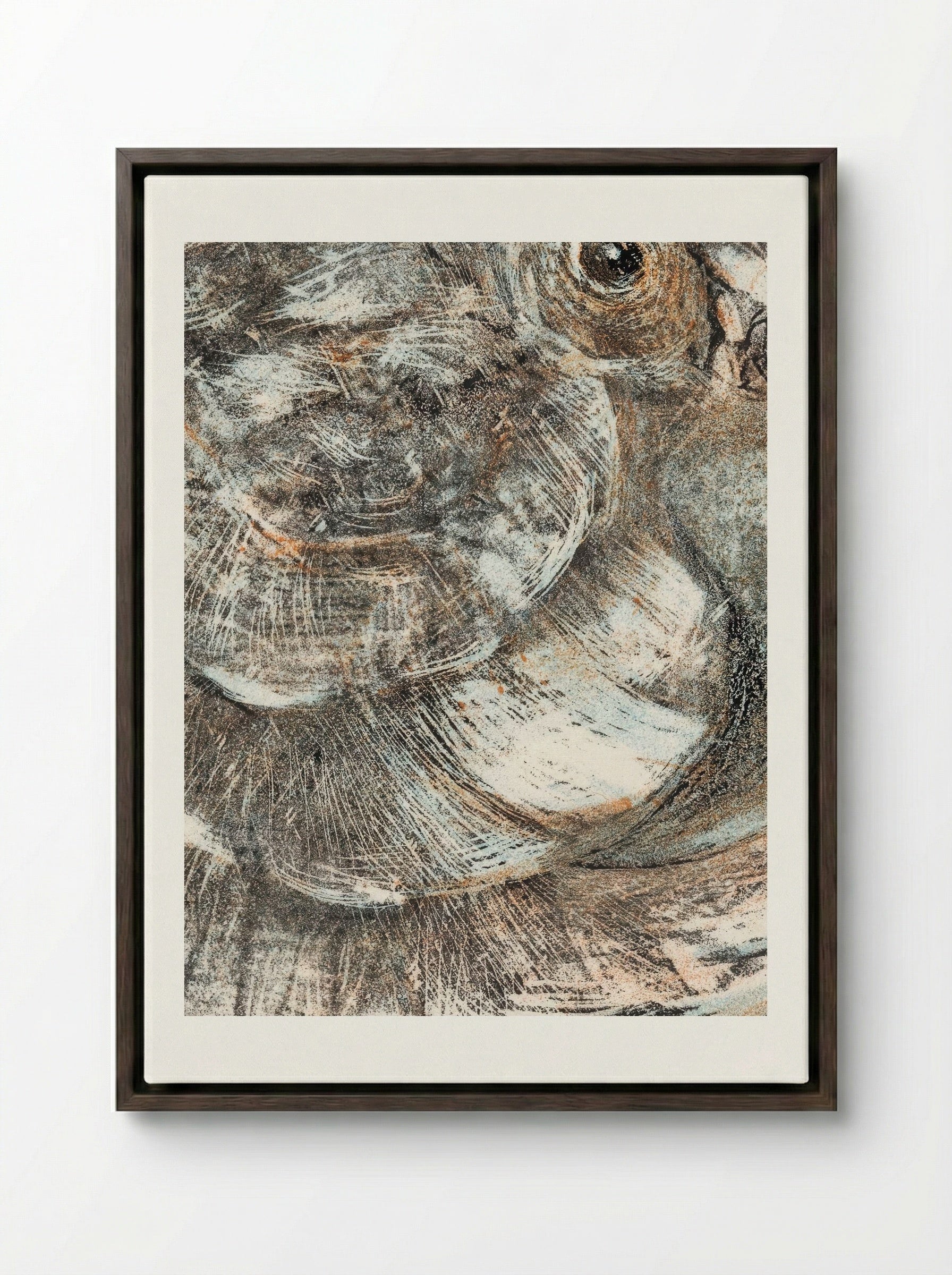 Head of a Parrot - Theo van Hoytema - Framed Canvas Dark Wood