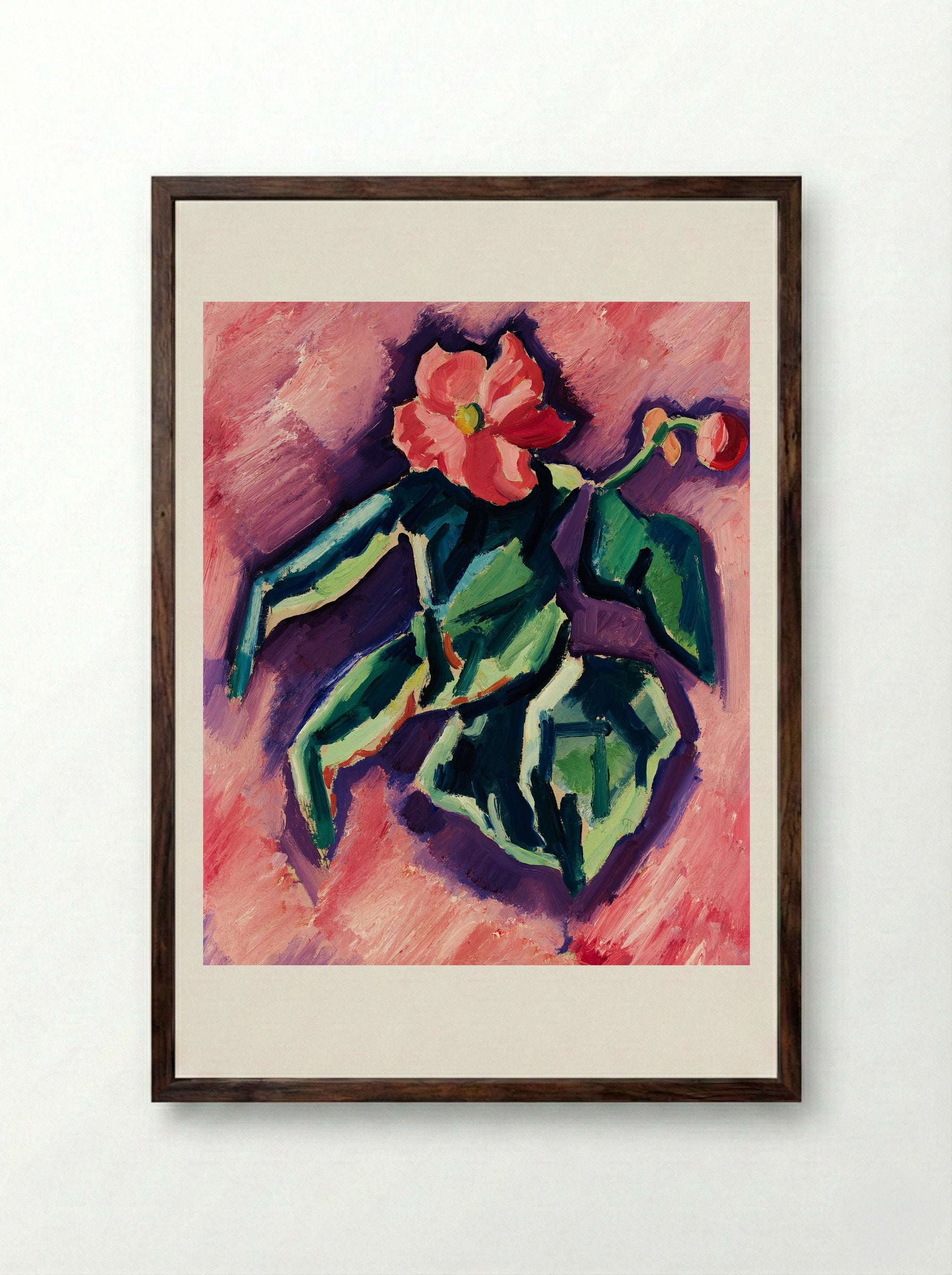 Pink Begonias - Marsden Hartley - Framed Print Dark Wood