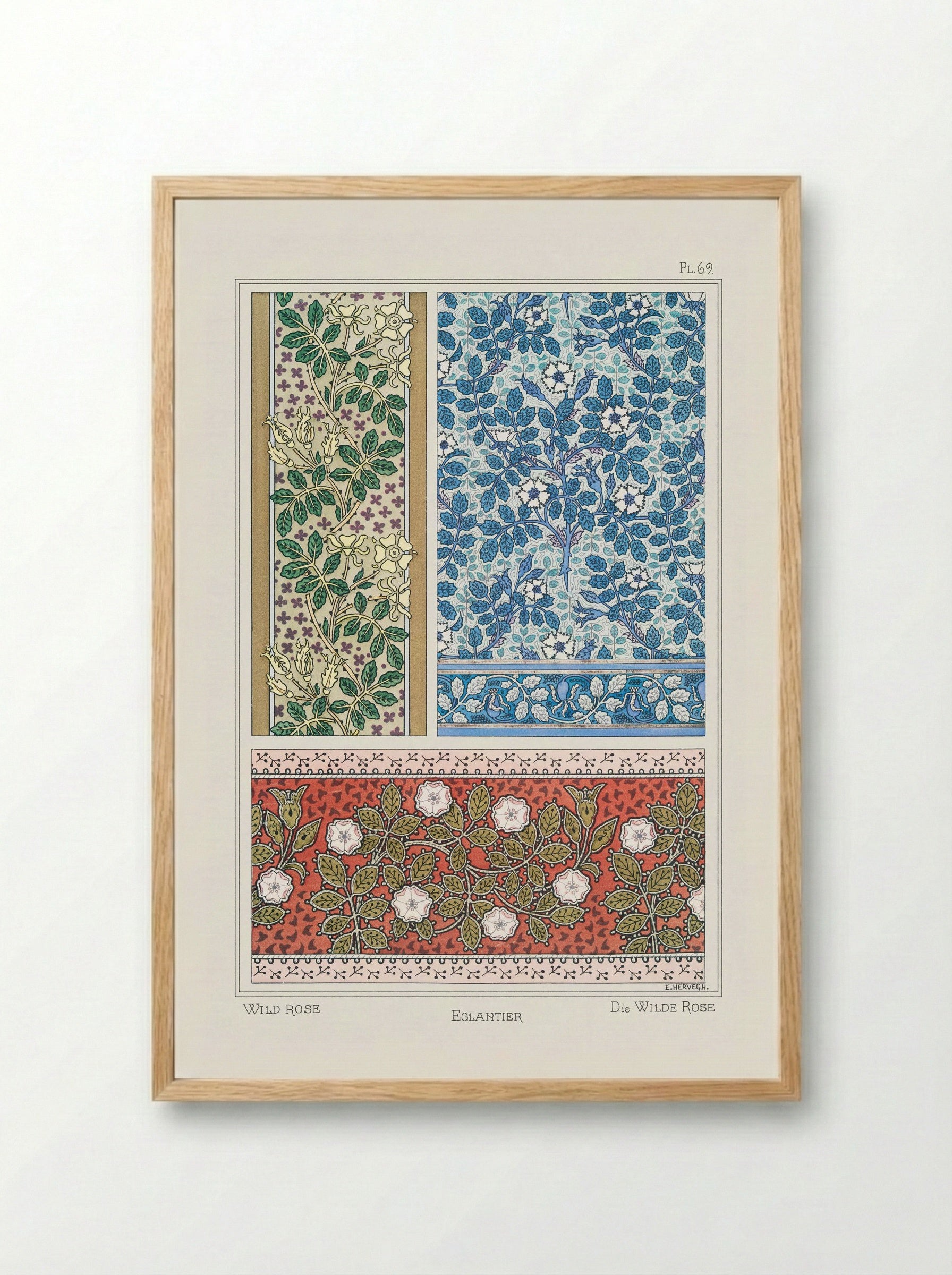 Eglantier (Wild Rose) from La Plante et ses Applications ornementales - Maurice Pillard Verneuil - Framed Print Wood