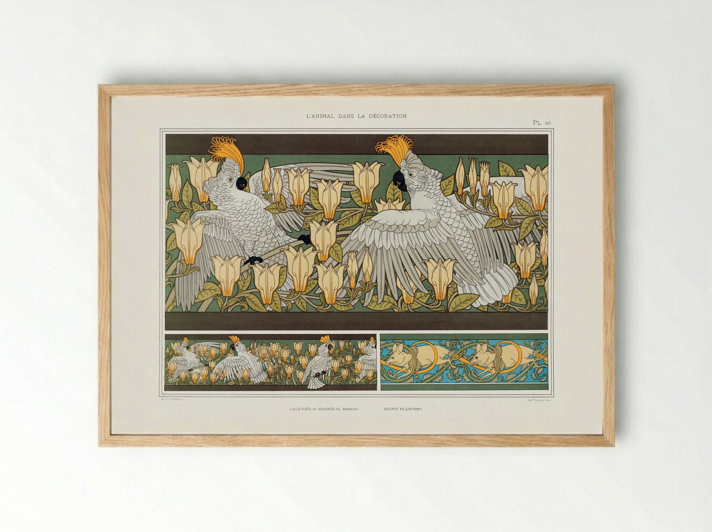 Cacatoès et Magnolia, Bordure; Souris Blanches - Maurice Pillard Verneuil - Framed Print Wood