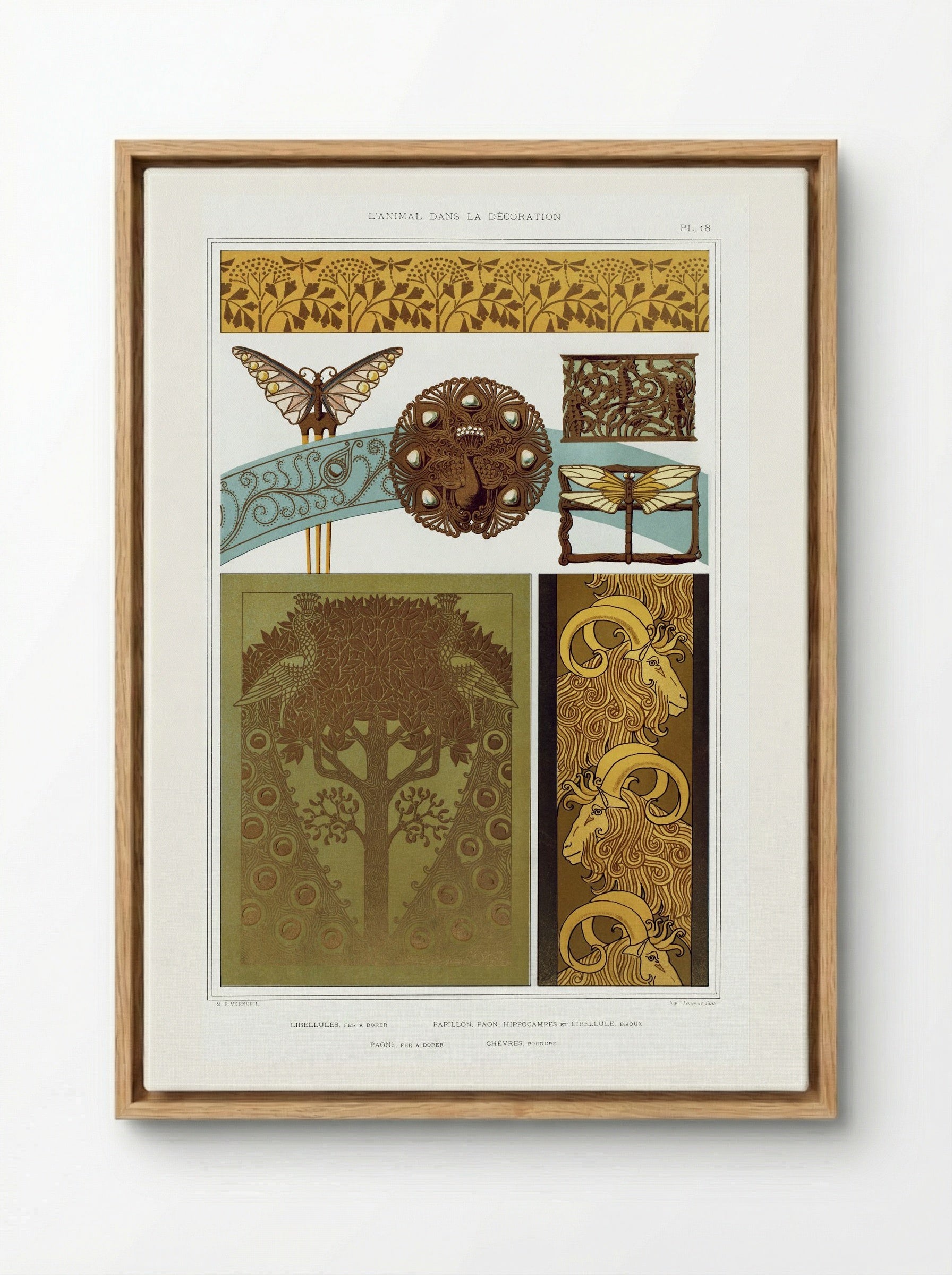 L'Animal dans la Décoration, Plate 18 - Maurice Pillard Verneuil - Framed Canvas Wood