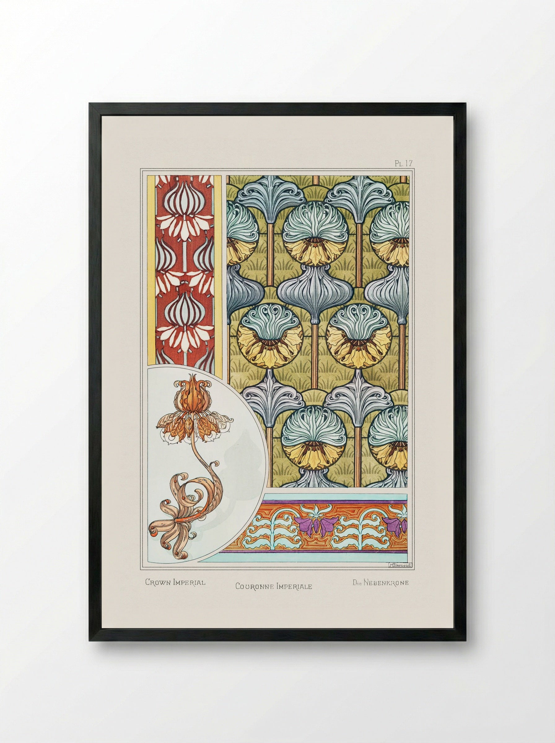 Couronne Impériale (Crown Imperial) from La Plante et ses Applications ornementales - Maurice Pillard Verneuil - Framed Print Black
