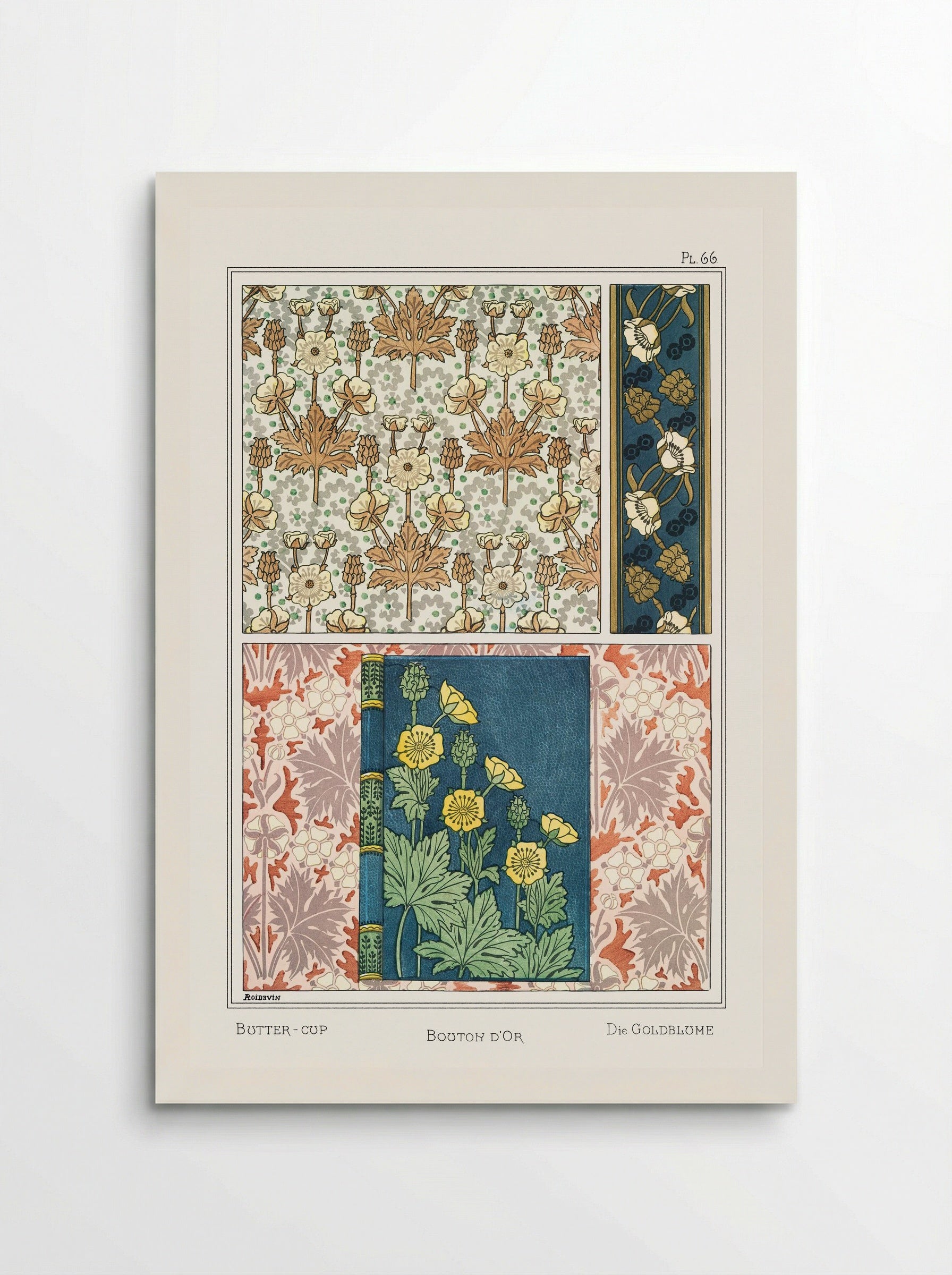 Bouton d'Or (Buttercup) from La Plante et ses Applications ornementales - Maurice Pillard Verneuil - Poster