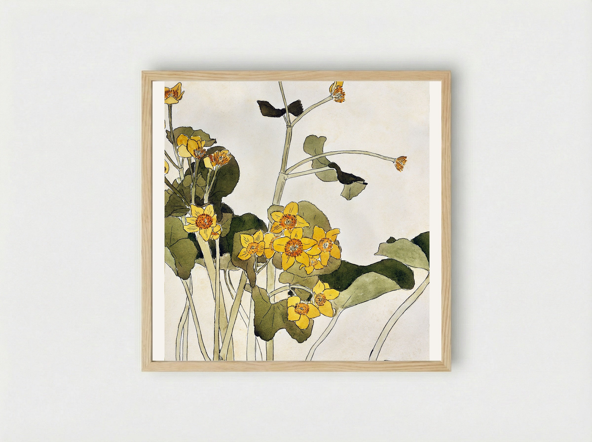 Marsh Marigold - Hannah Borger Overbeck - Framed Print Wood