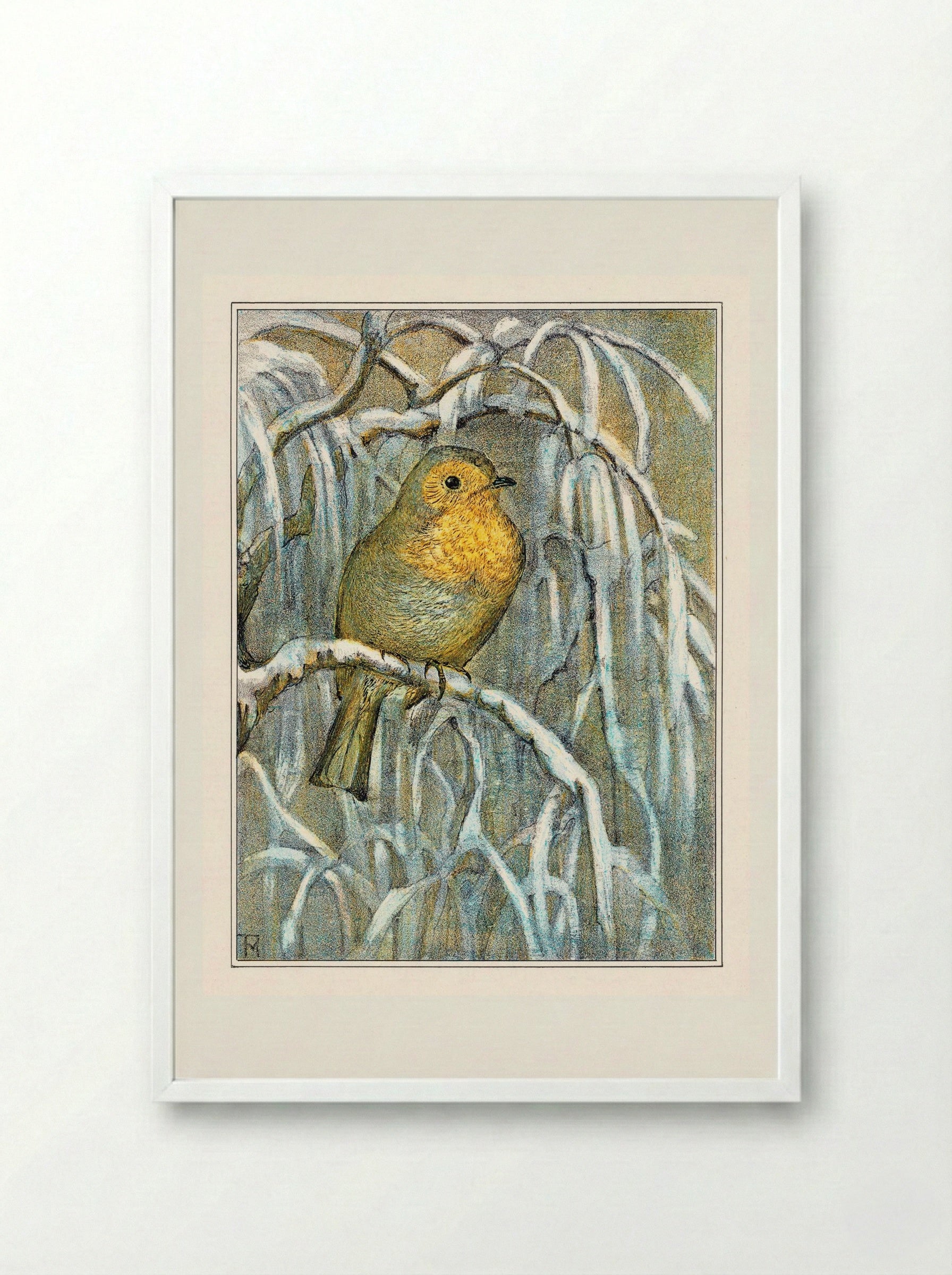 Robin on Snowy Branch - Theo van Hoytema - Framed Print White