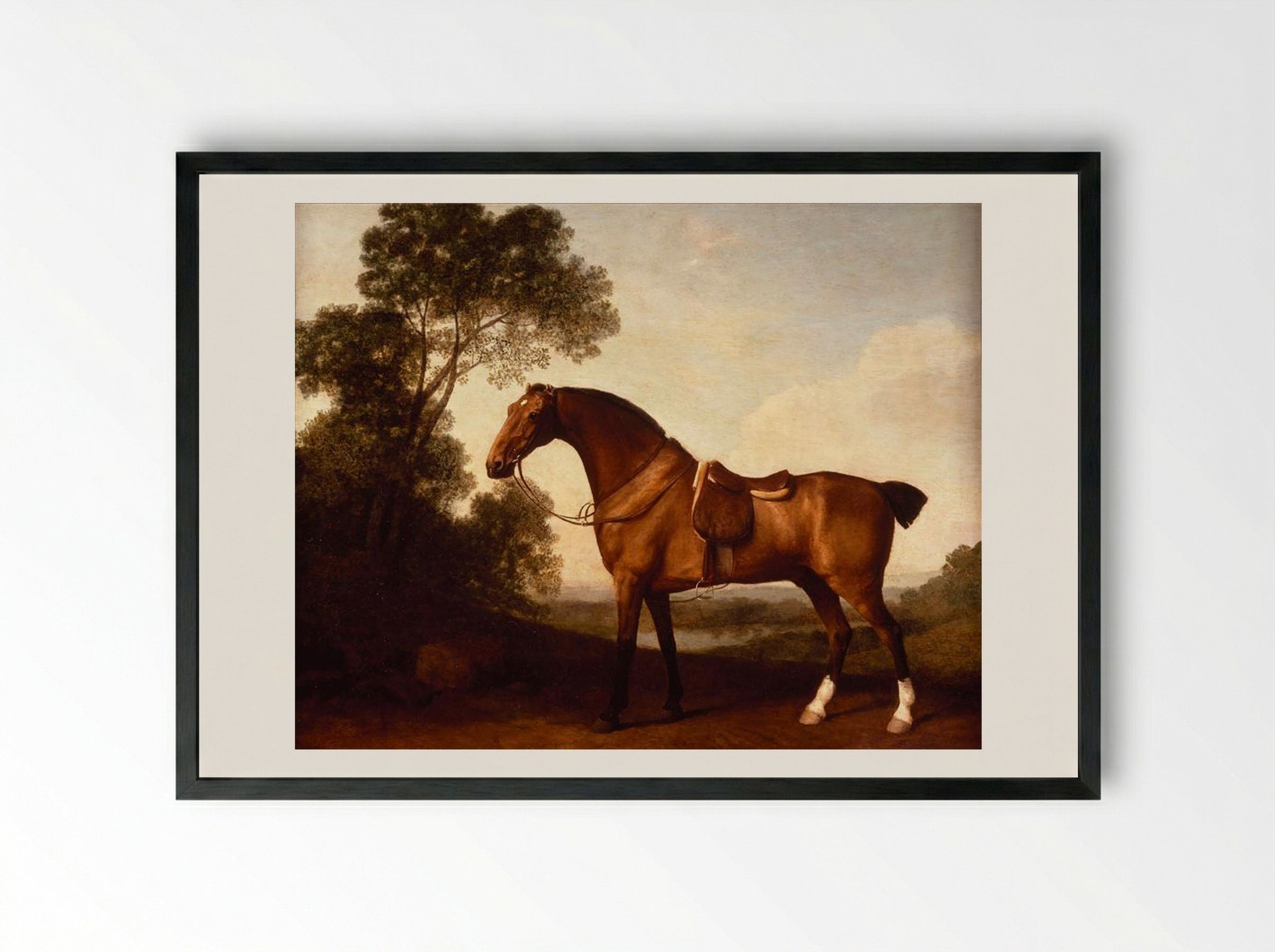A Saddled Bay Hunter - George Stubbs - Framed Print Black