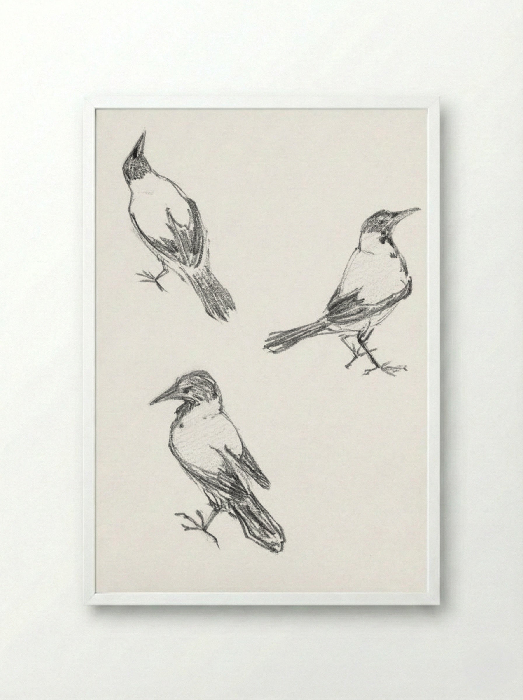 Three Sketches of a Crow - Julie de Graag - Framed Print White