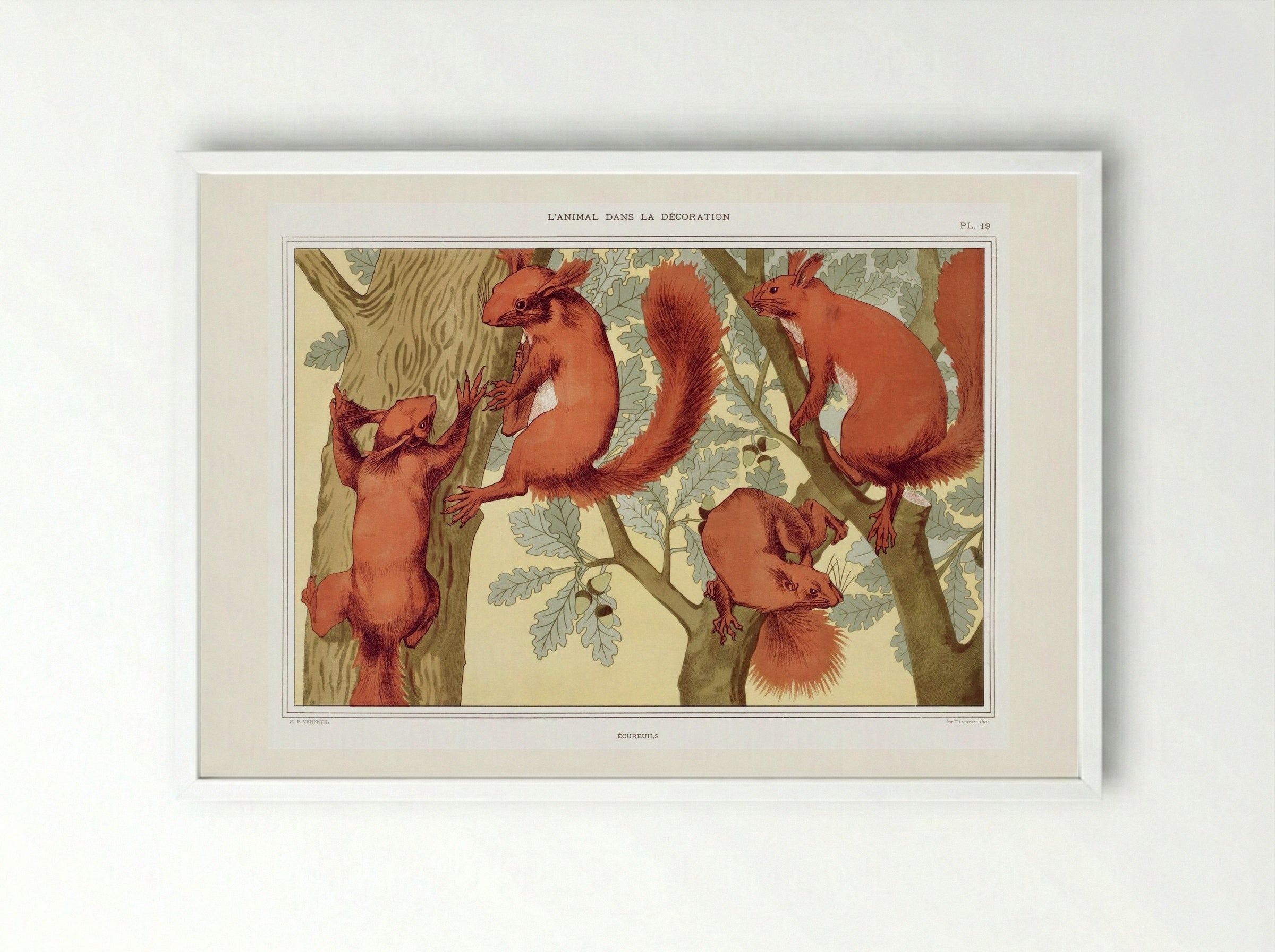 Écureuils (Squirrels) from L'animal dans la décoration - Maurice Pillard Verneuil - Framed Print White