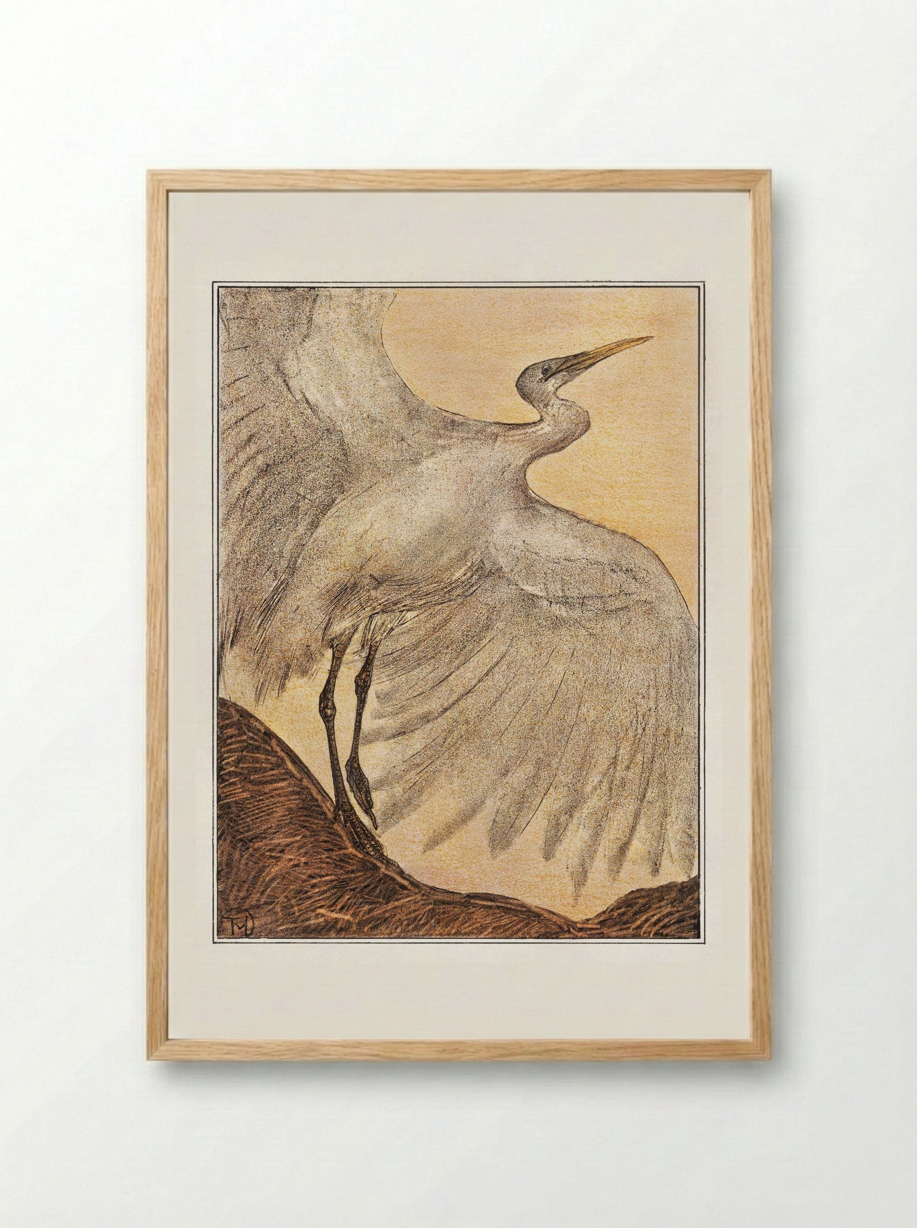 Zilverreiger (Heron) - Theo van Hoytema - Framed Print Wood