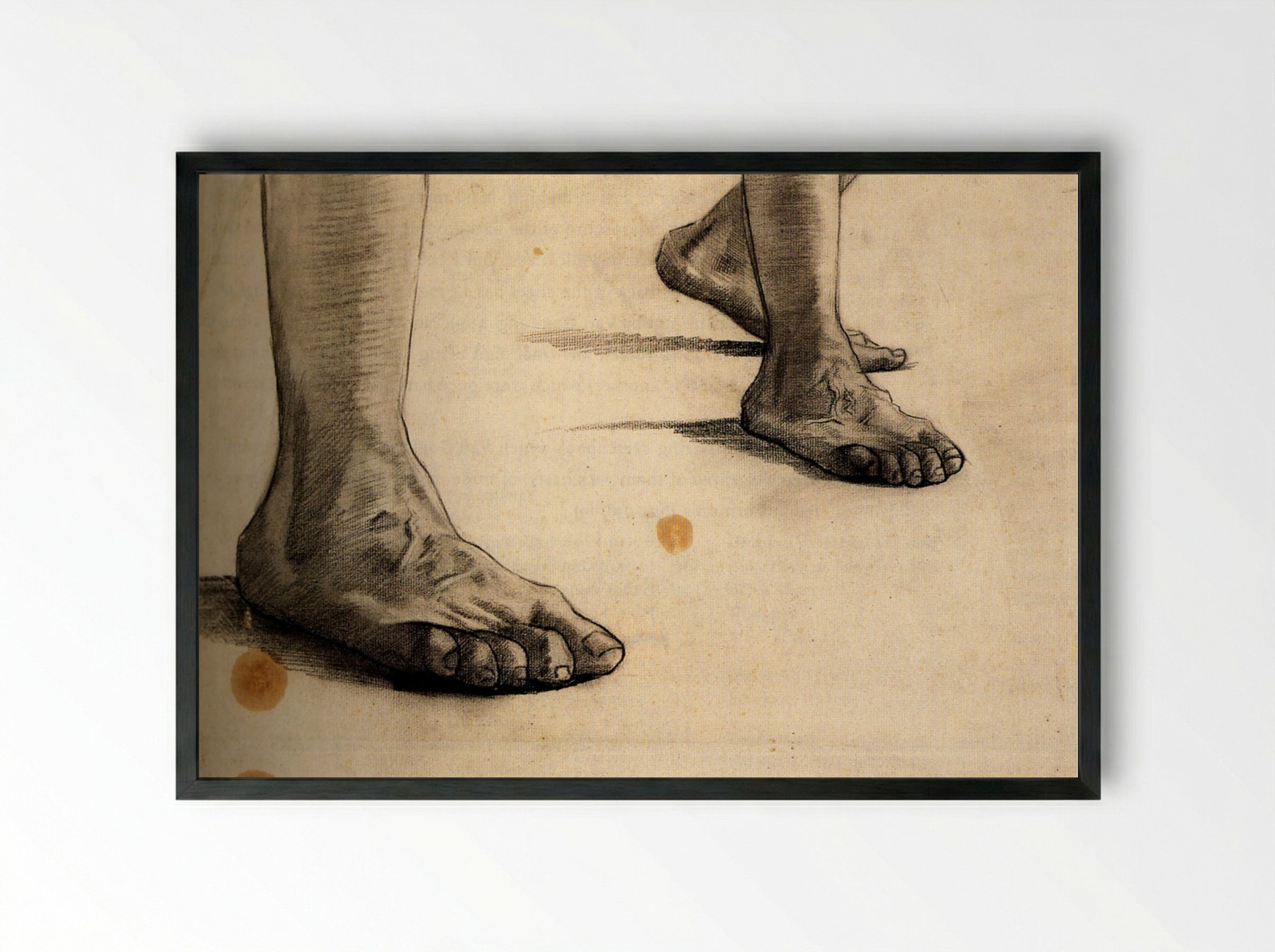 Study of Feet (Anatomical Drawing) - Fine Art Print - Framed Print Black